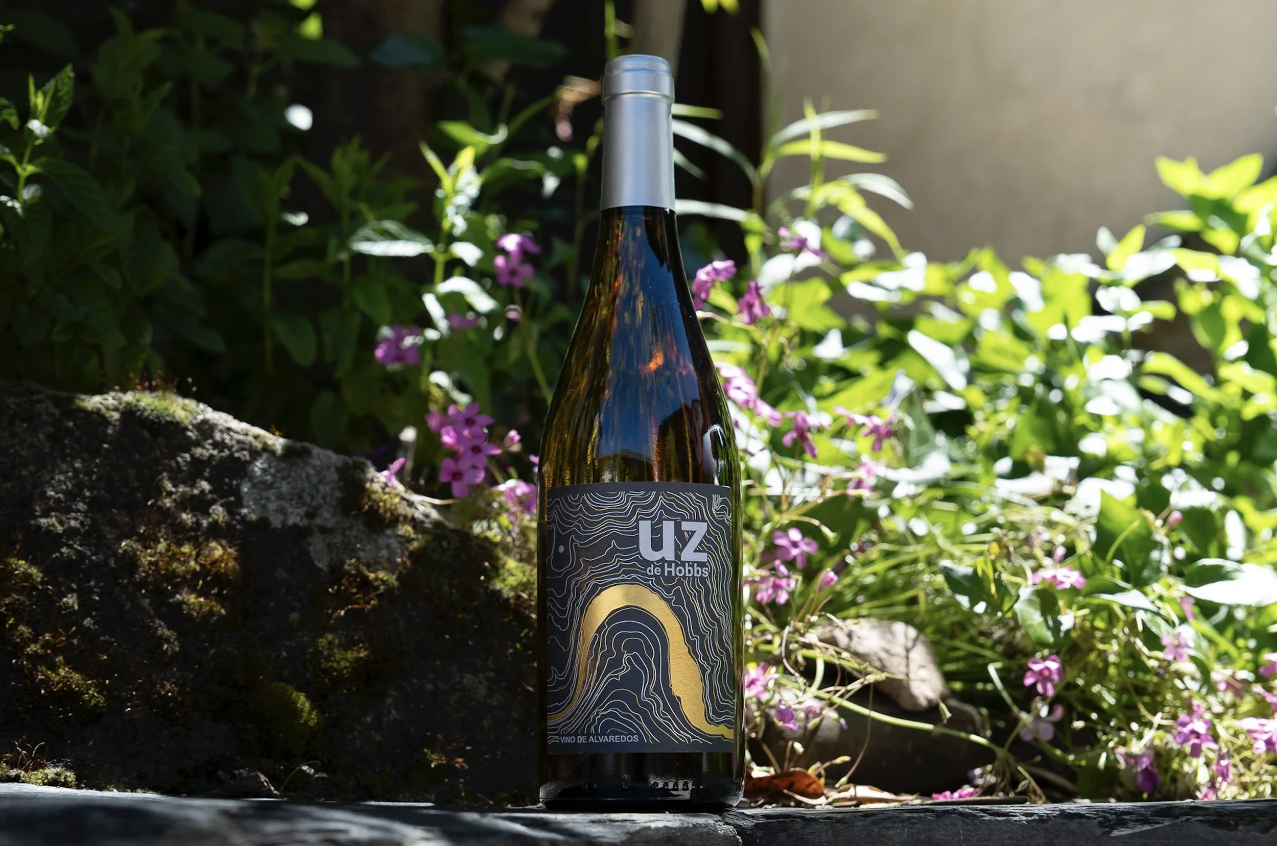 Alvaredos-Hobbs: Heroic viticulture, bewildering gradients