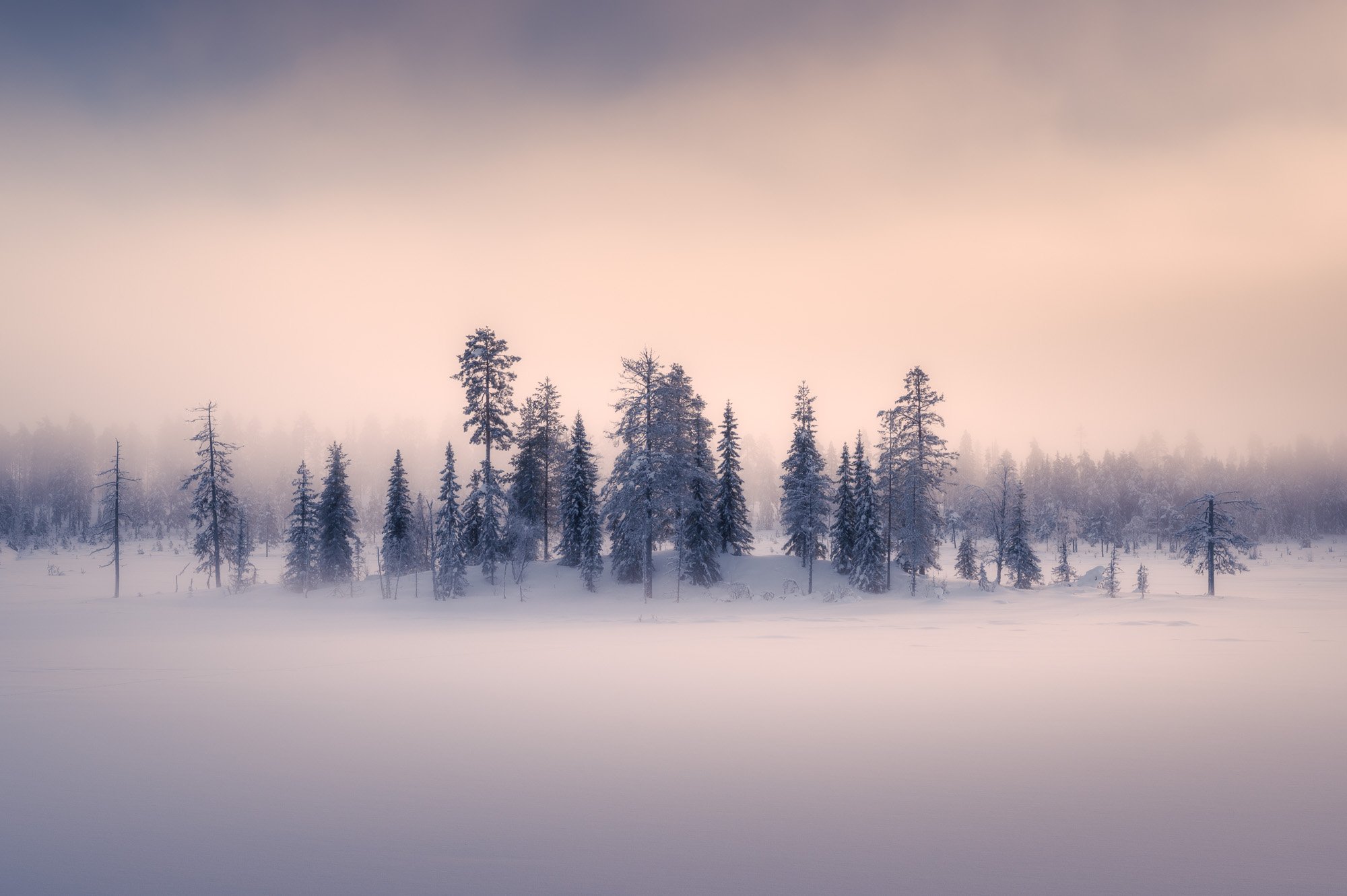 SF6_5561-Edit.jpg