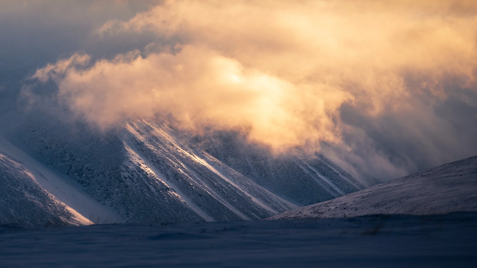 SF6_4173-Edit.jpg