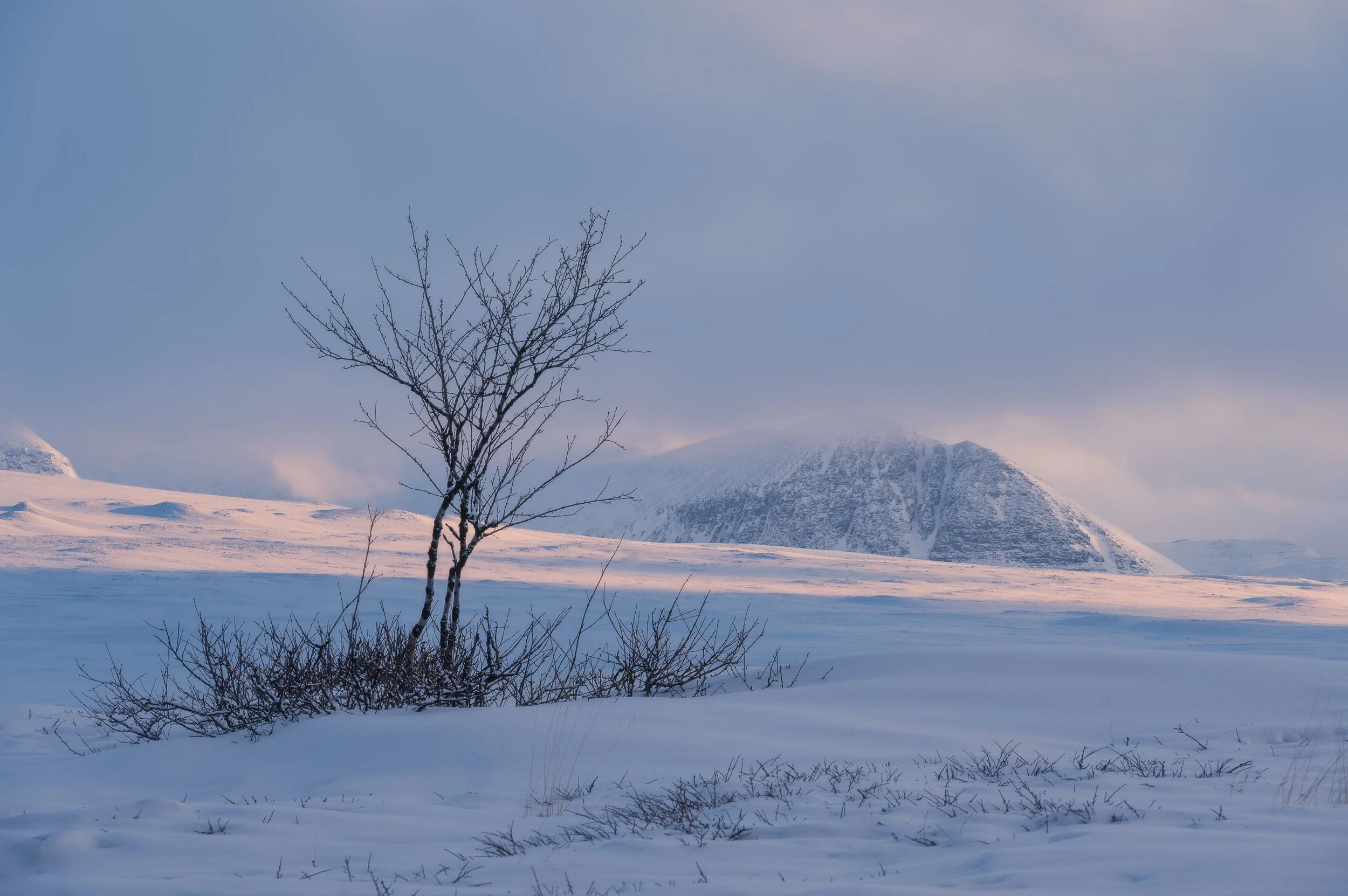 Winter is not over yet