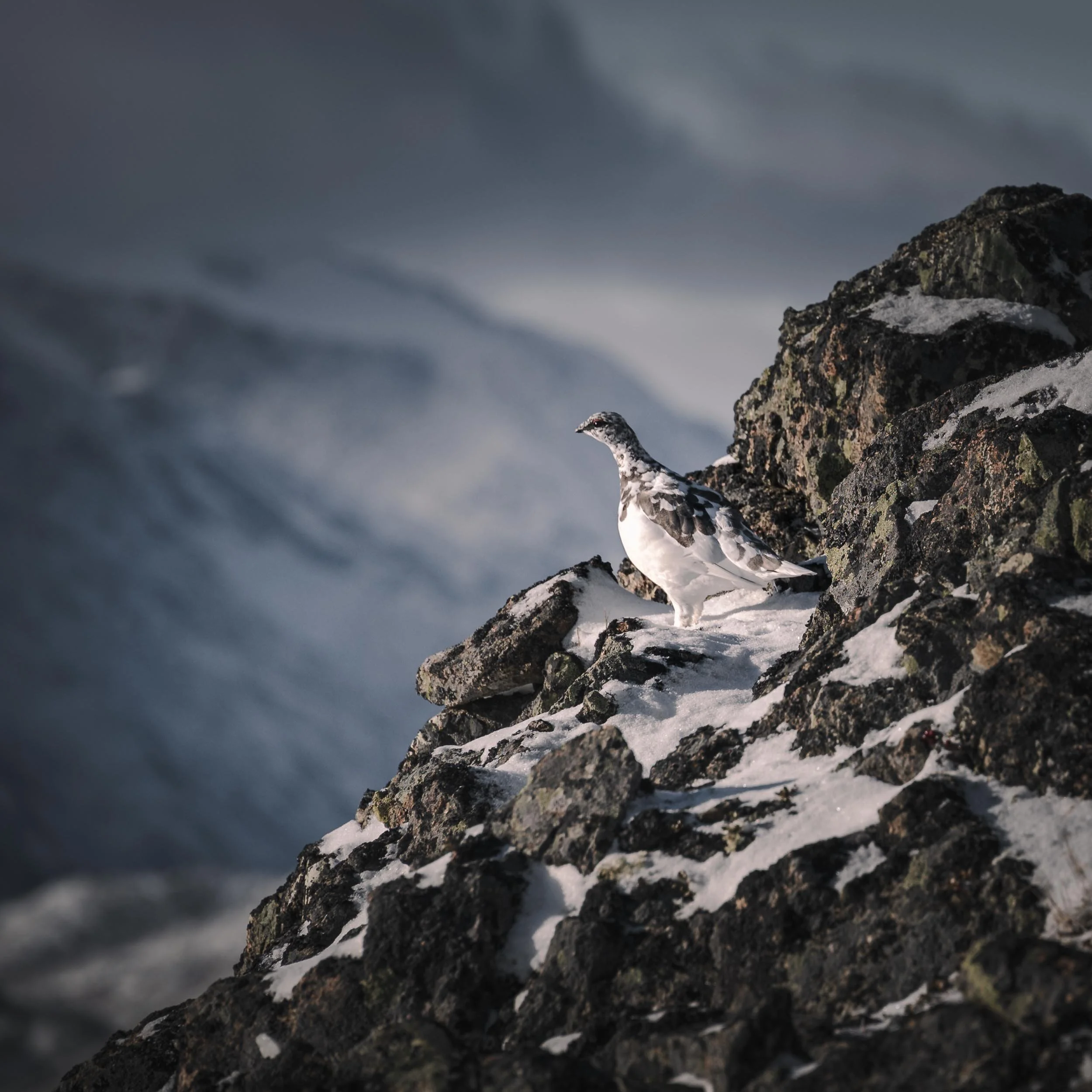 Late october in Jotunheimen