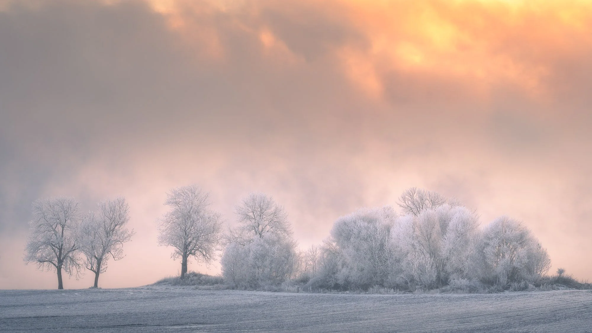 Cold winter scenes from Norway