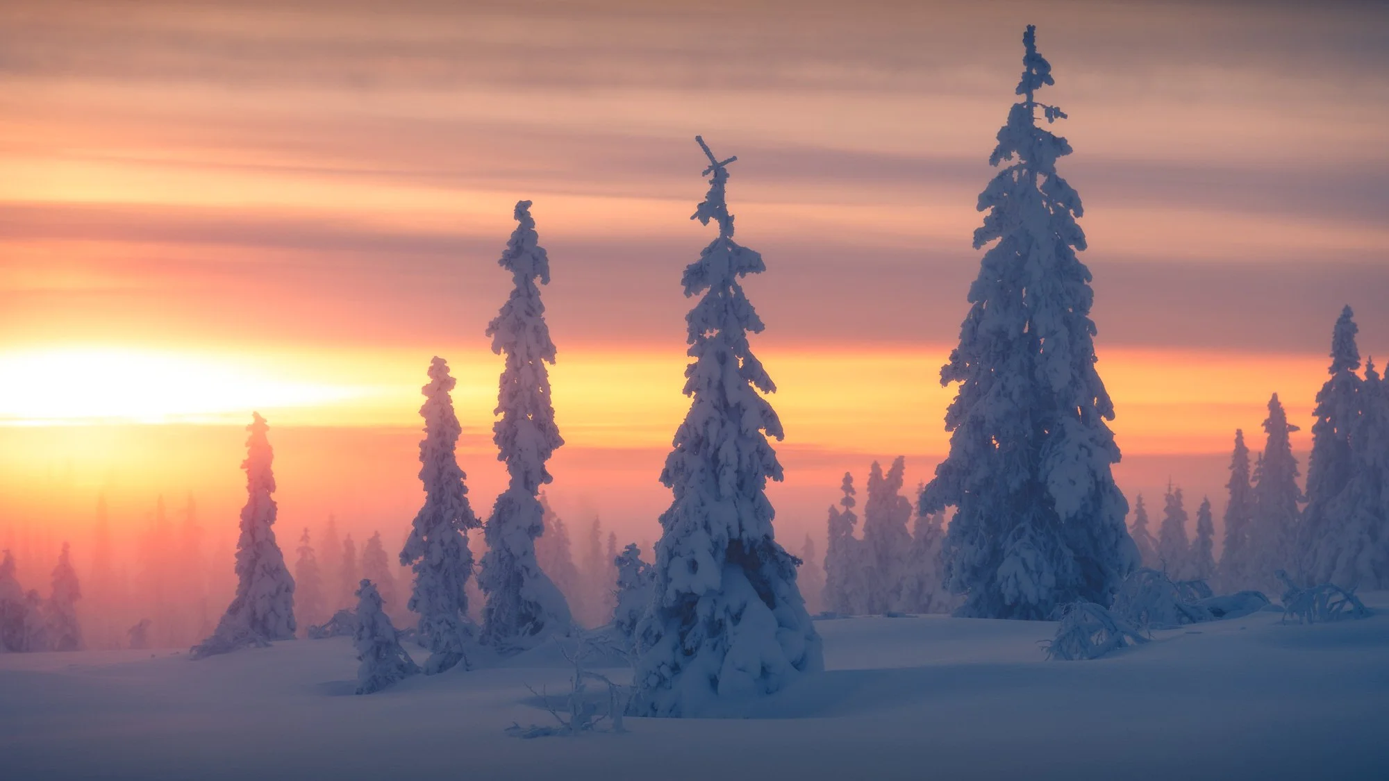 Photographing Winter In Norway