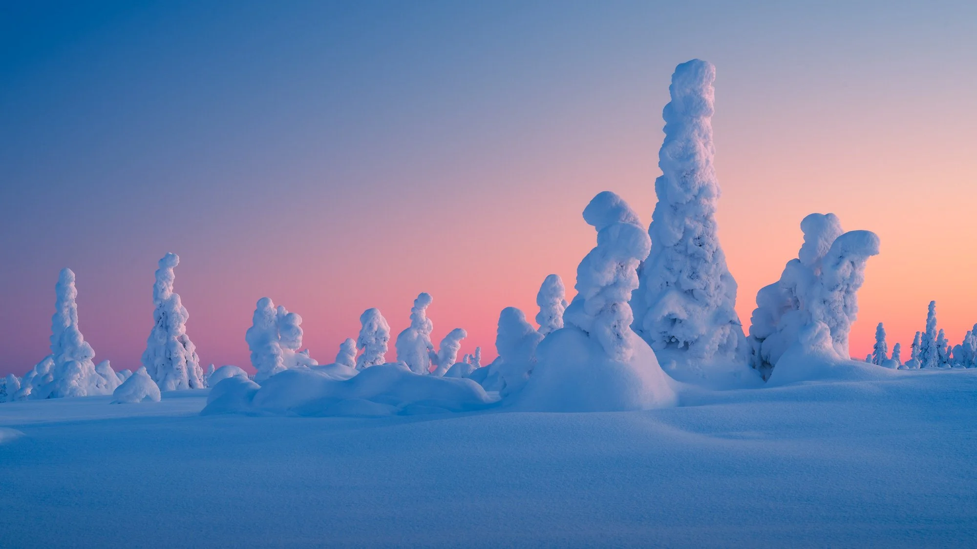 Winter Camping in Norway -20°C | Extreme Cold Tent Camping