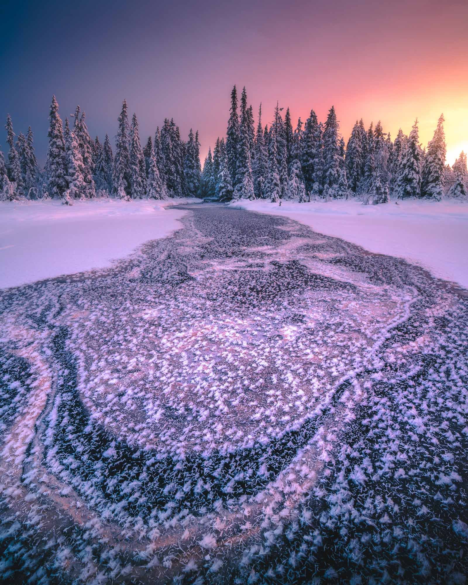 SF6_5586-Edit-Edit.jpg