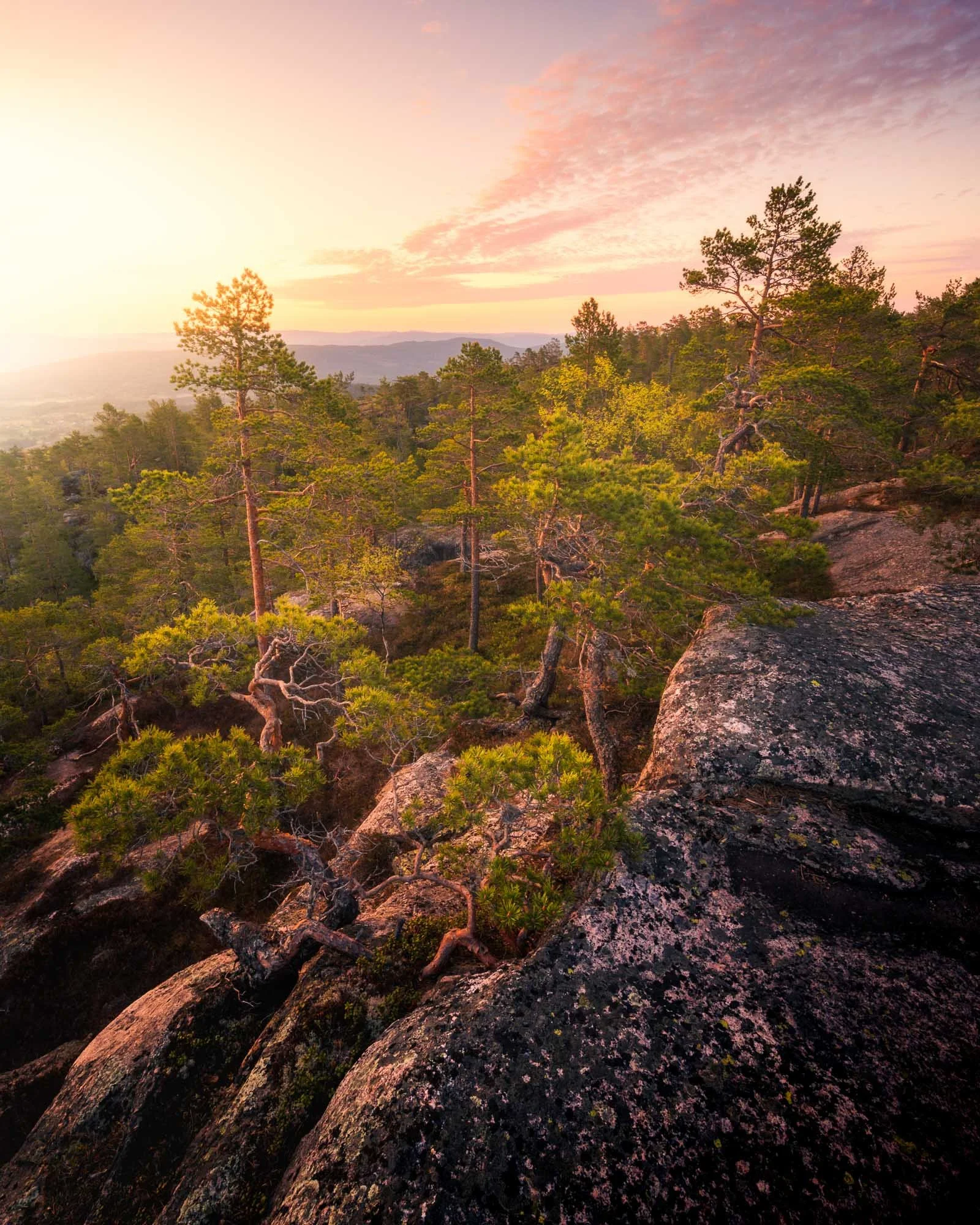 SF6_2078-Edit.jpg