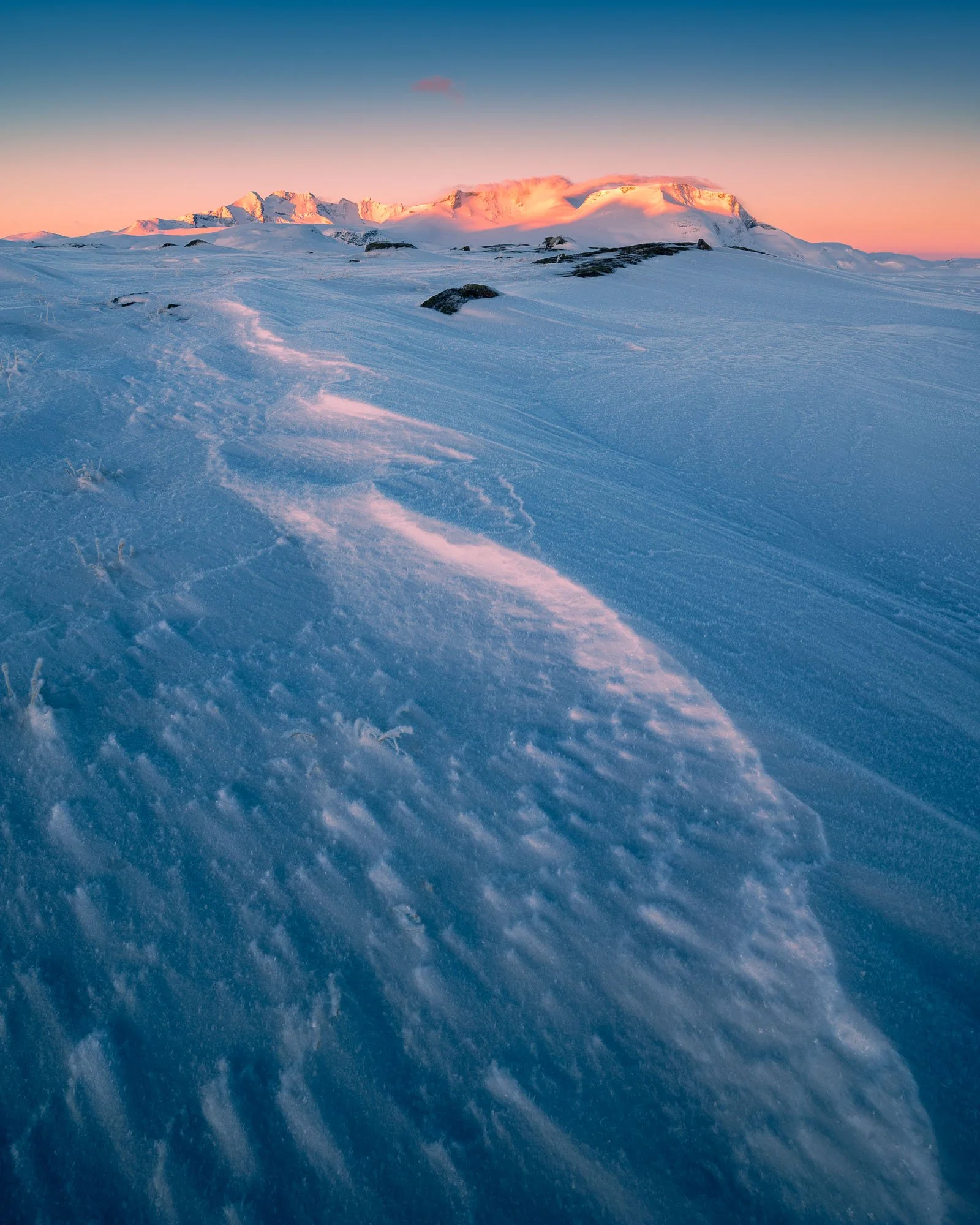 SF6_0564-Edit.jpg