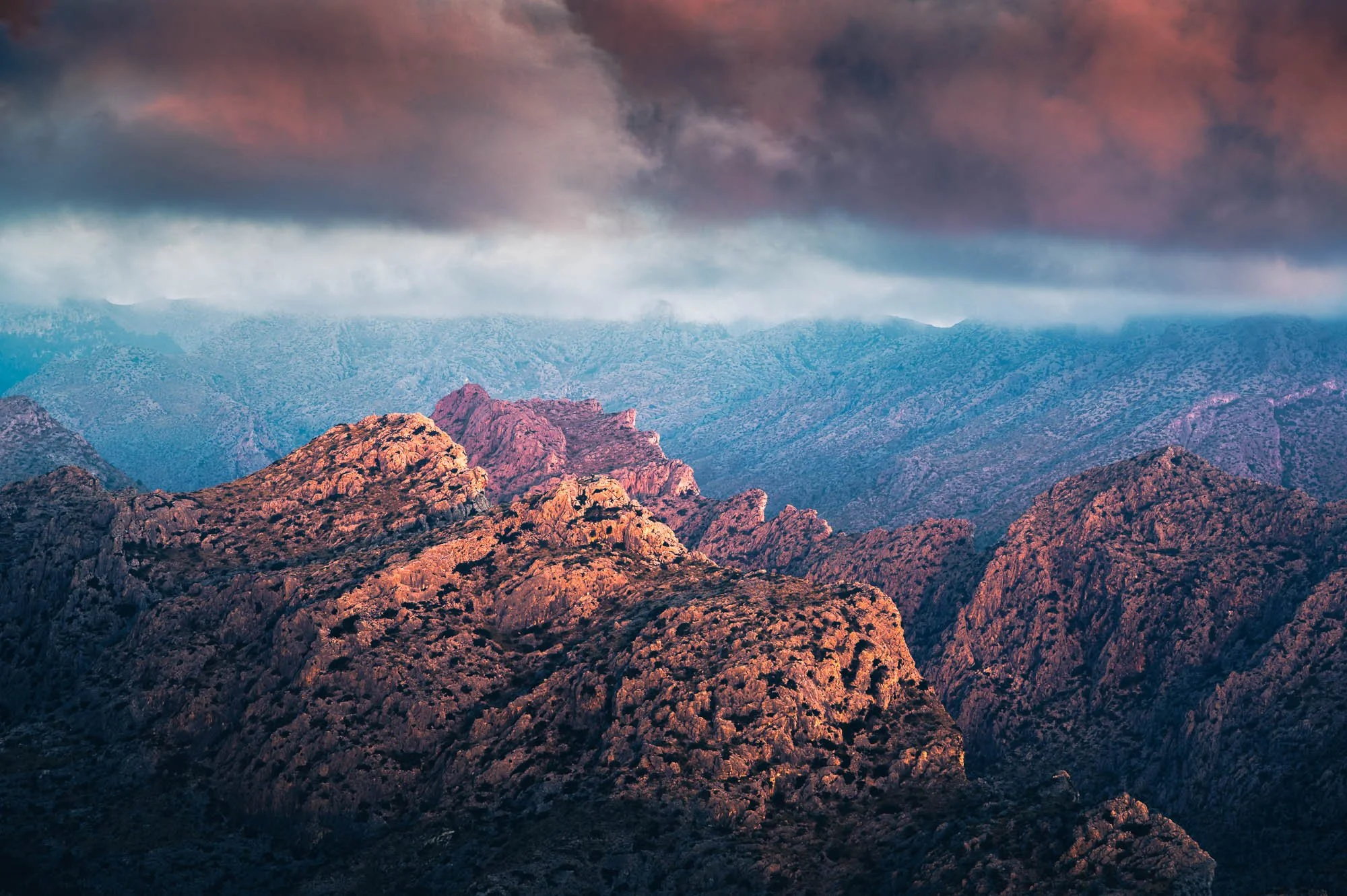 SF6_7837-Edit.jpg