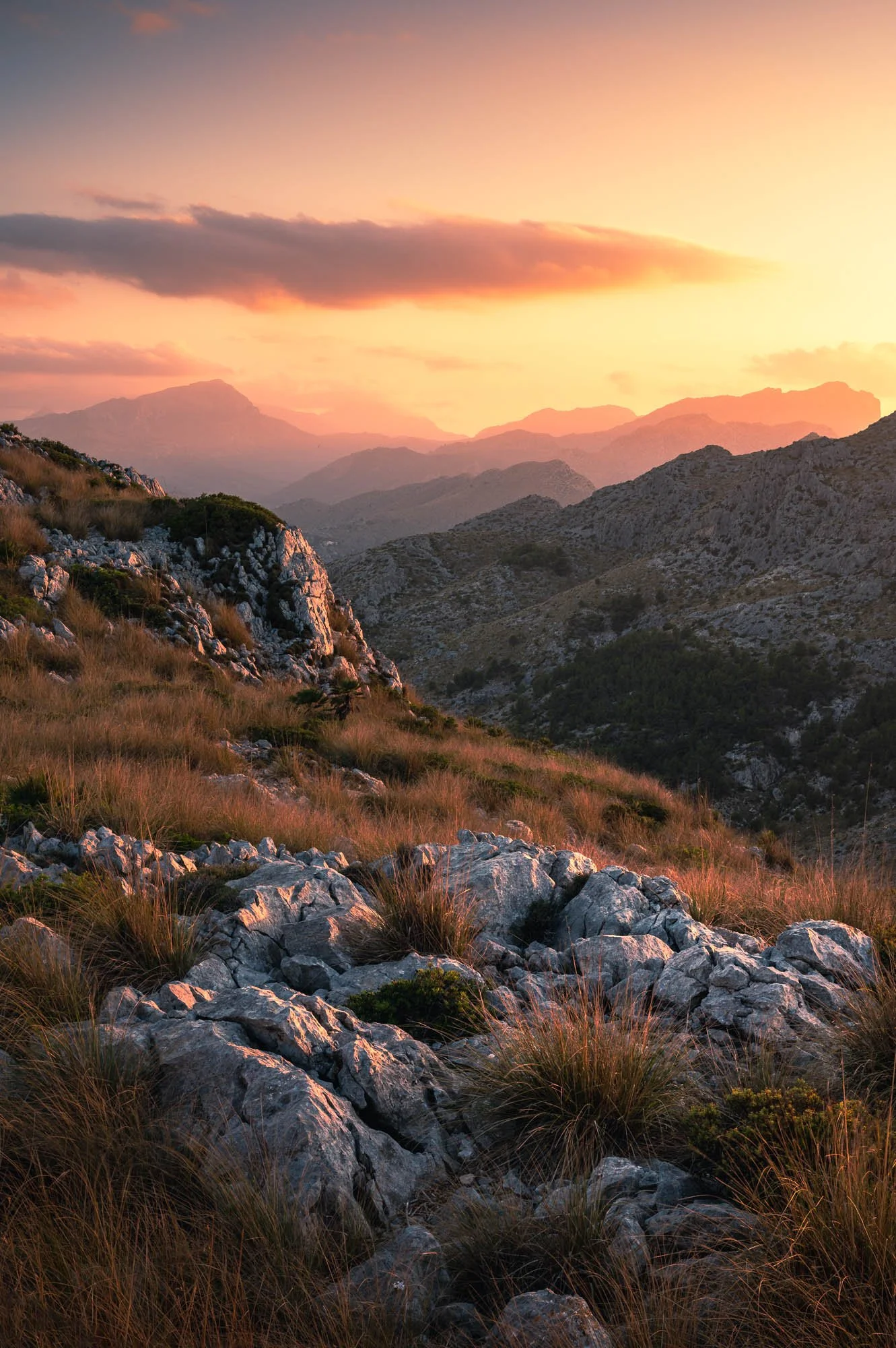 SF6_7664-Edit.jpg