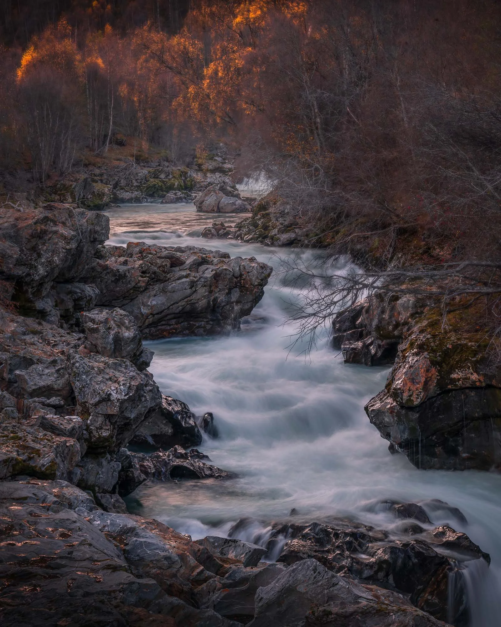 SF6_7930-Edit.jpg