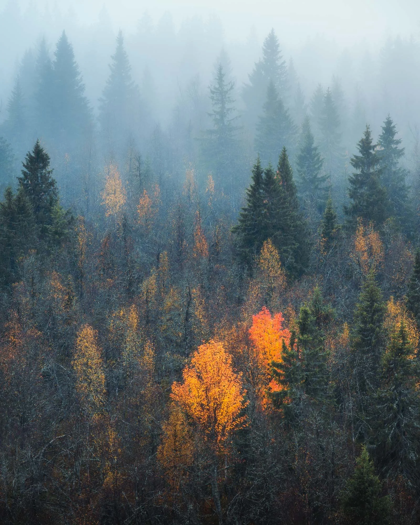 SF6_2940-Edit-Edit.jpg