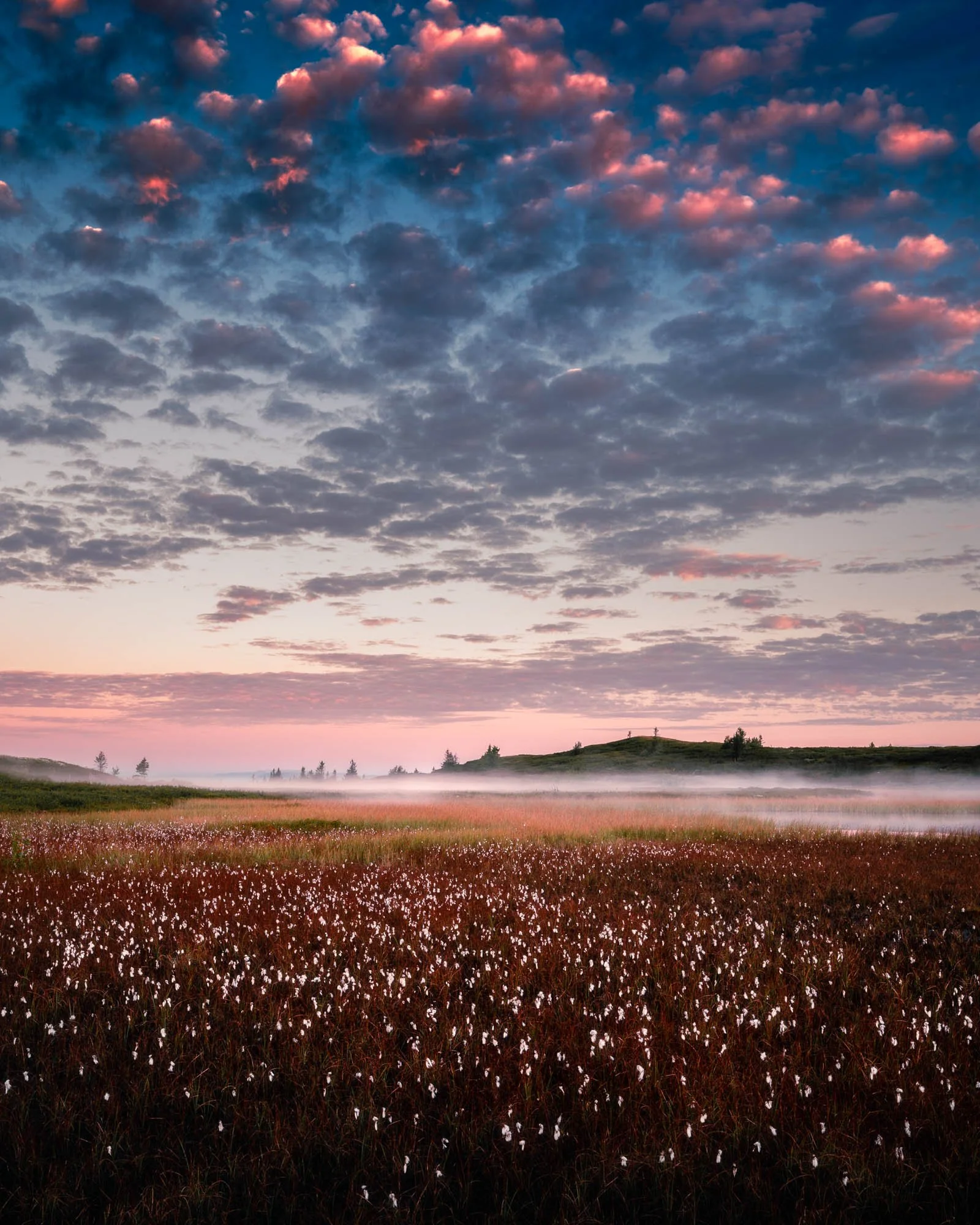 SF6_0730-Edit.jpg