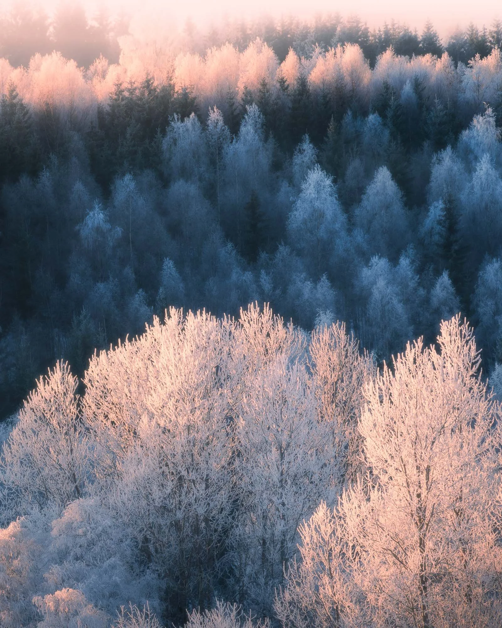 SF6_0789-Edit.jpg