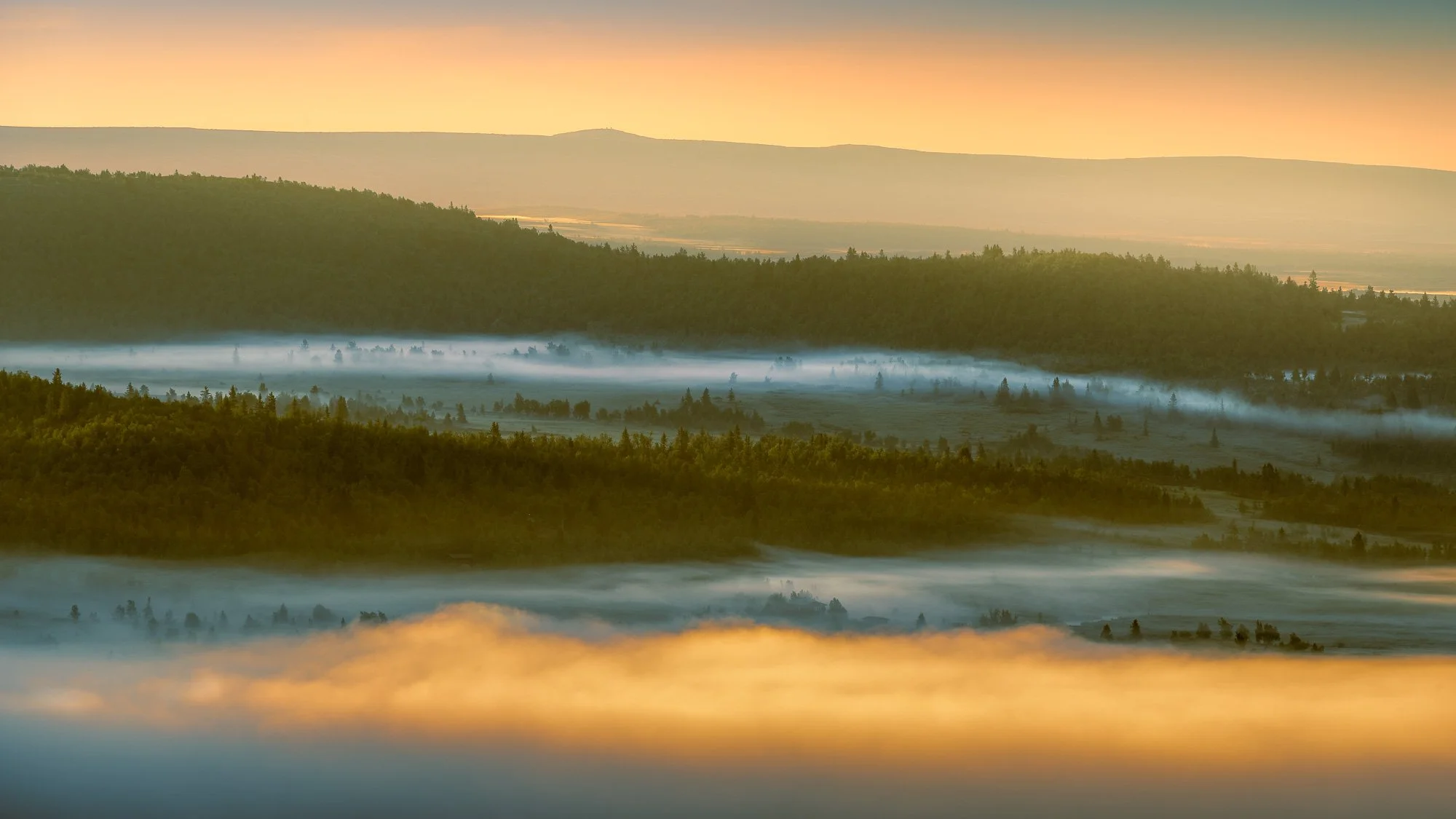 SF6_0763-Edit-Edit.jpg