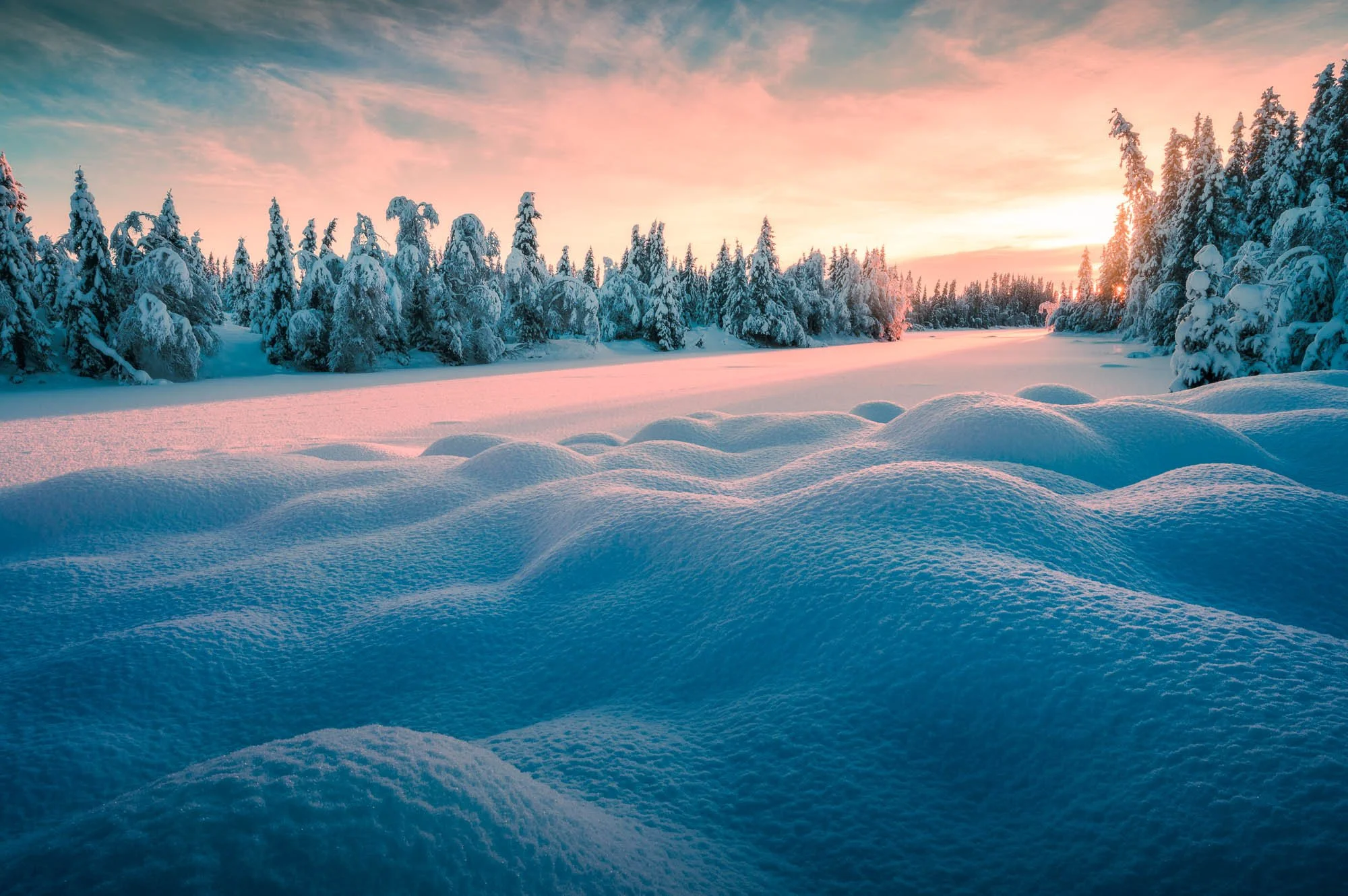 SF6_6616-Edit-Edit.jpg