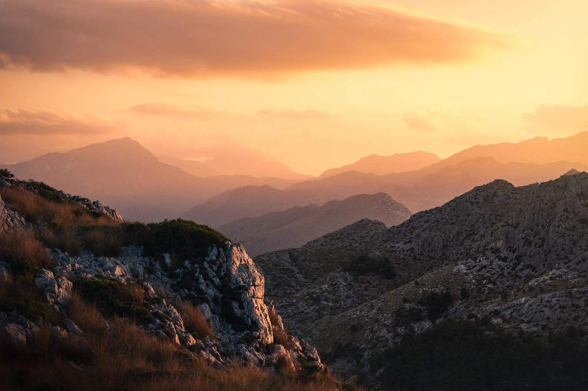SF6_7659-Edit.jpg