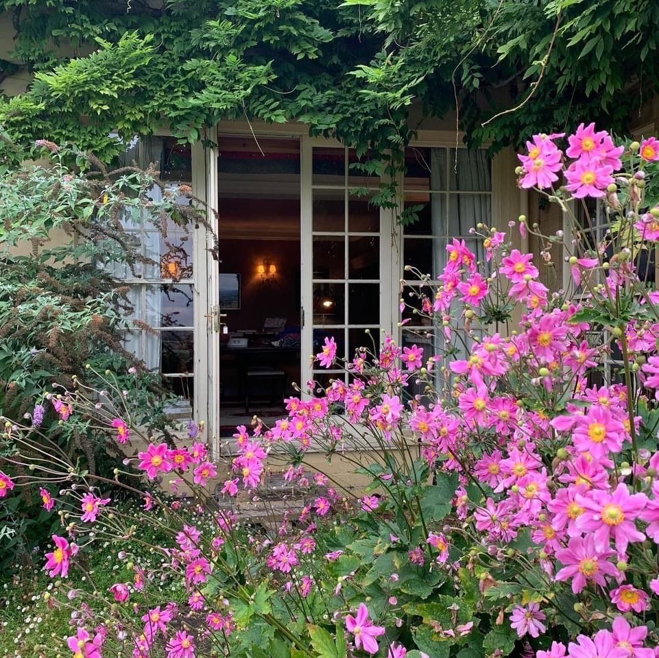 Garden 2.jpeg