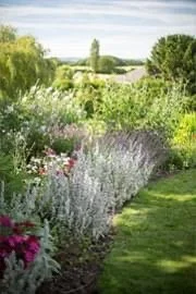 Hurds hill garden.jpeg
