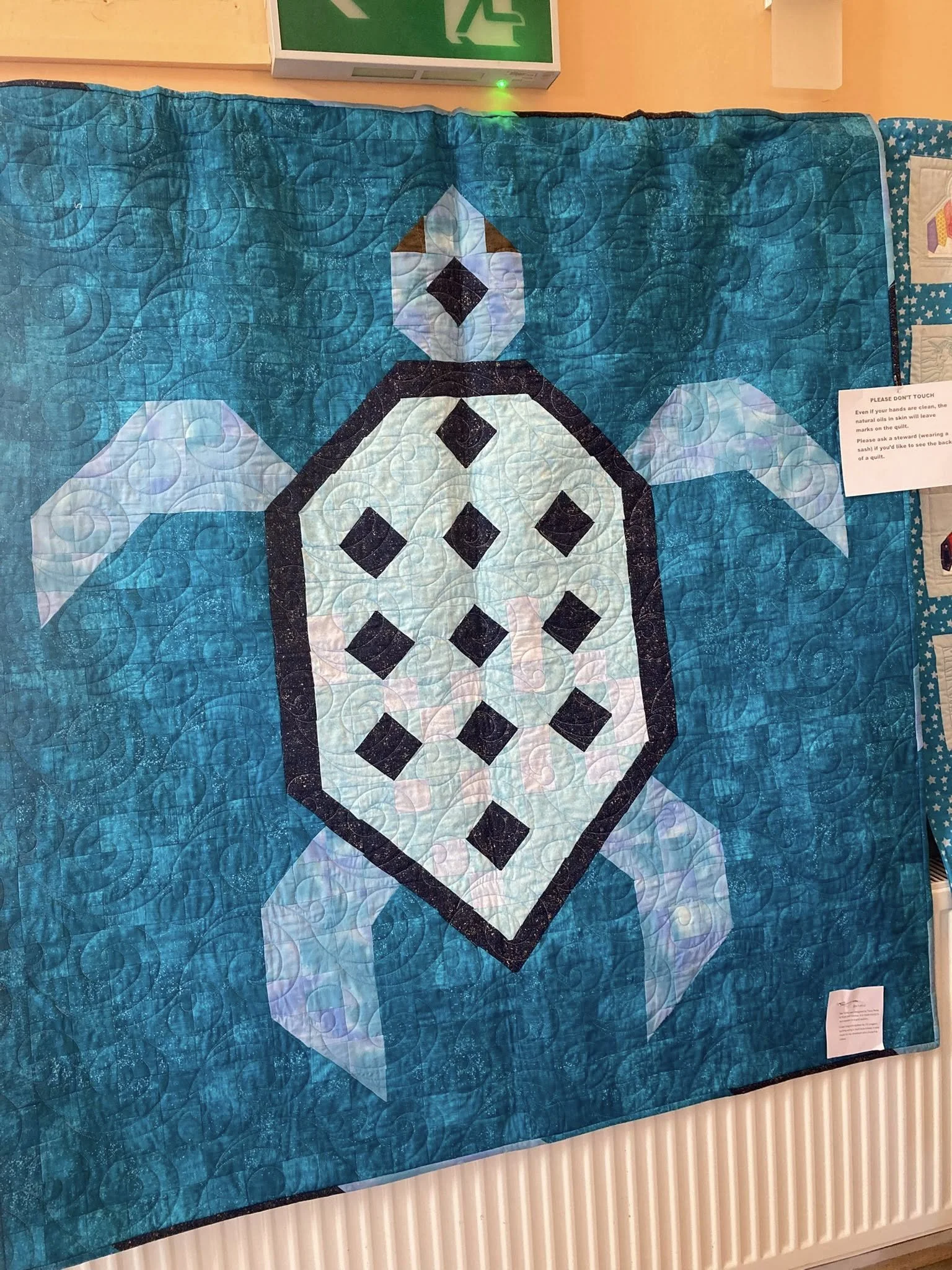 Sea Turtle by Alison Jenkins