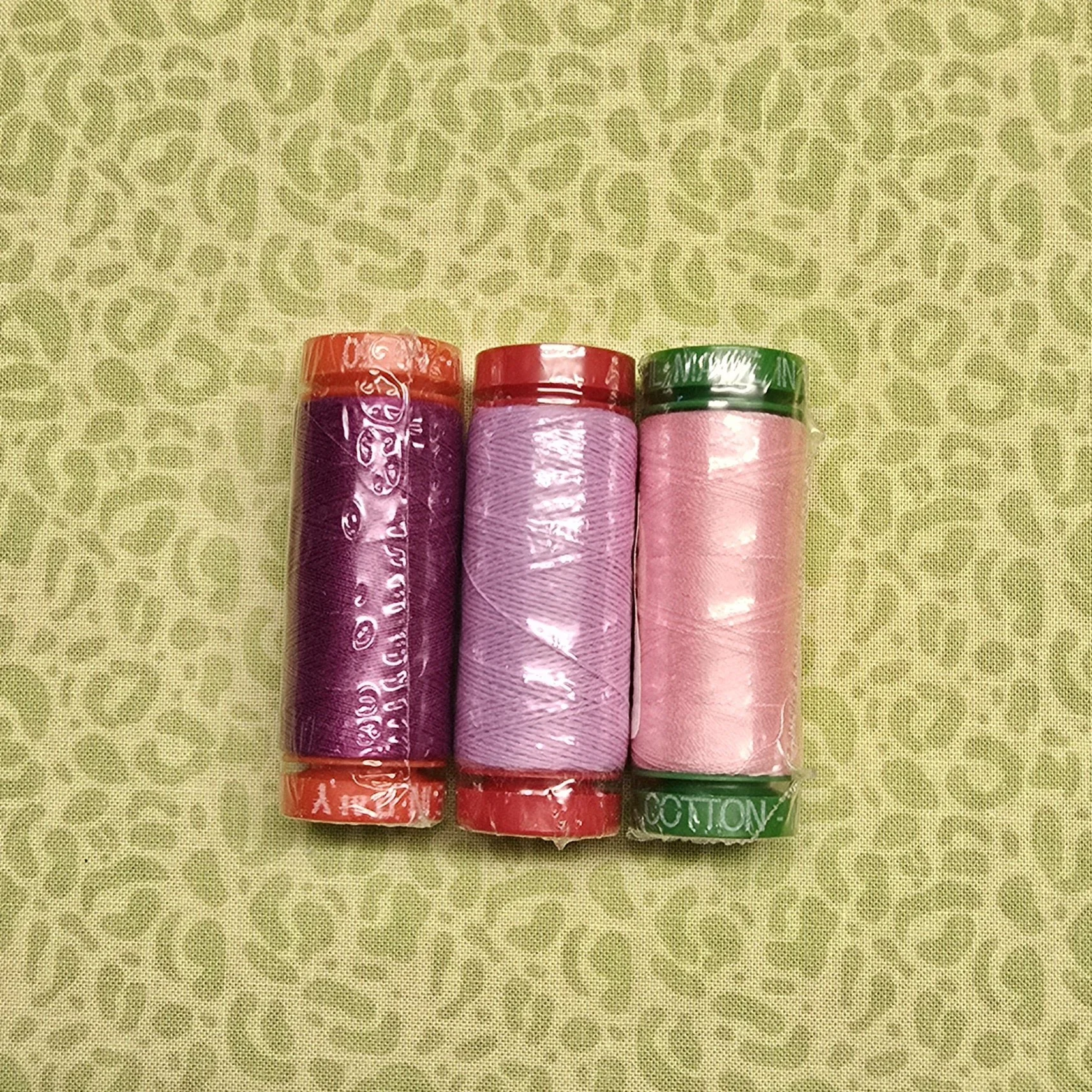 20260804_101721.jpg