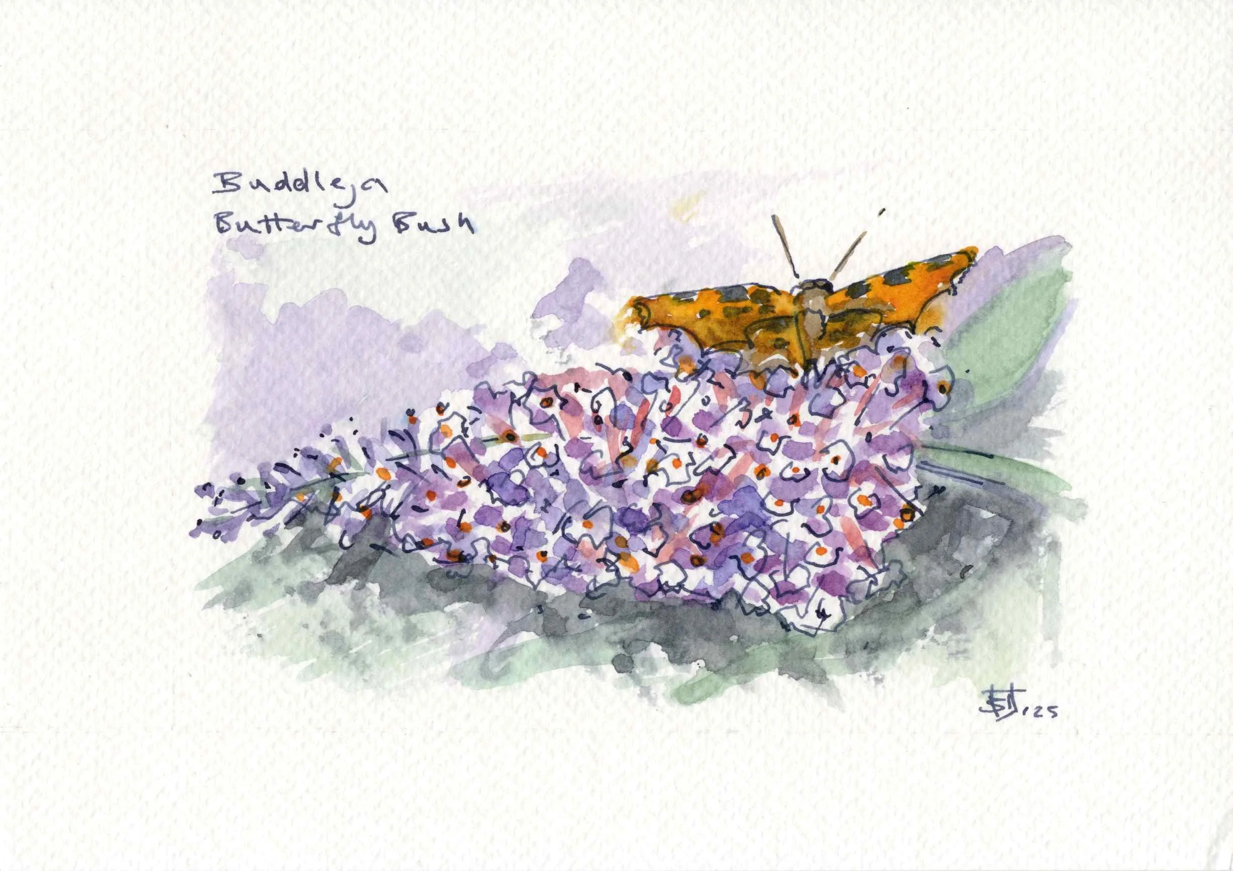 Floral Watercolours Airbnb_Page_1.jpg