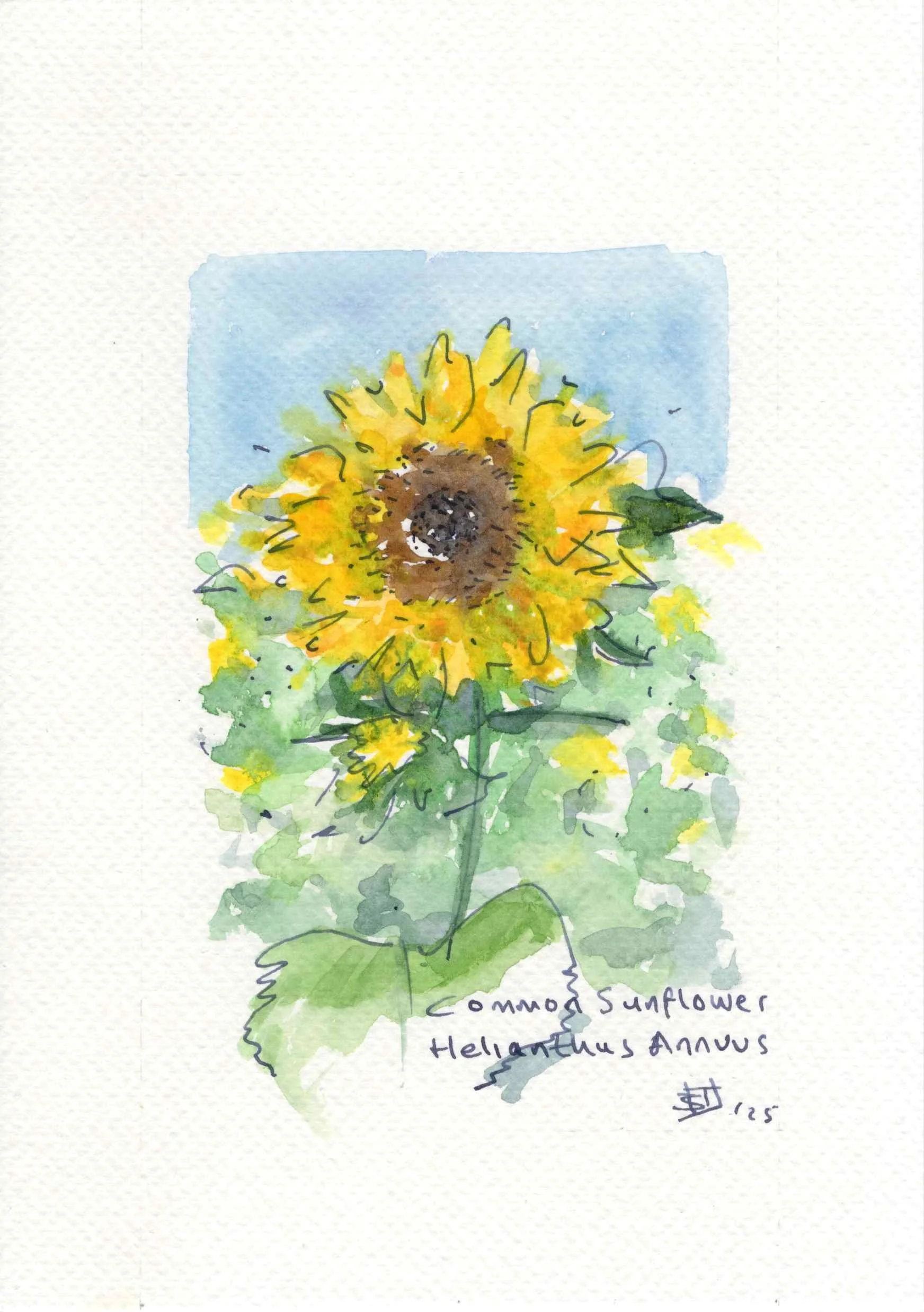 Floral Watercolours Airbnb_Page_5.jpg