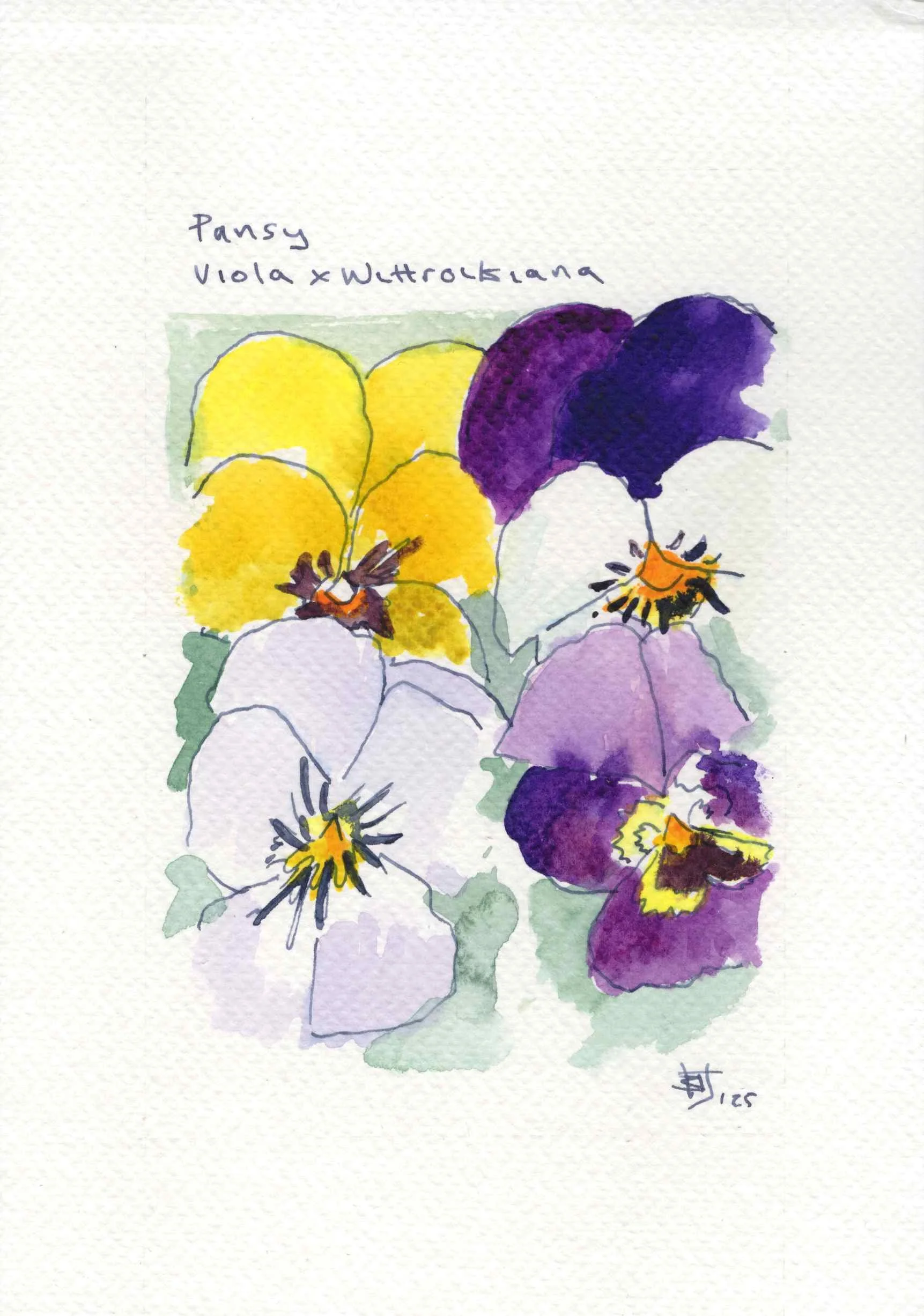 Floral Watercolours Airbnb_Page_3.jpg
