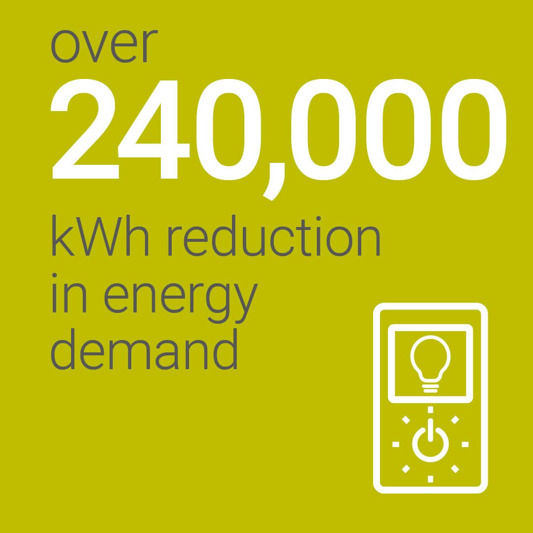 Pathway to NZ26 - green3.jpg