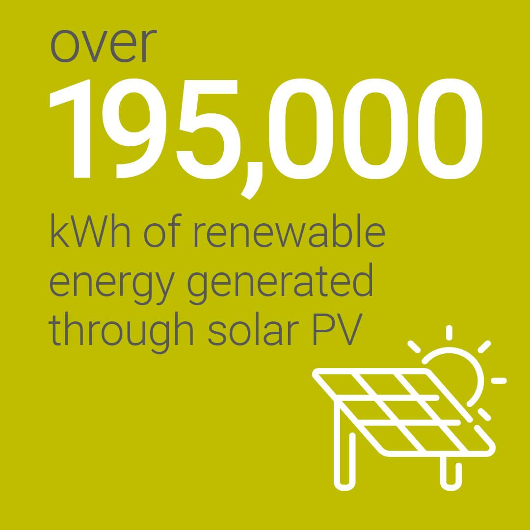 Pathway to NZ26 - green2.jpg