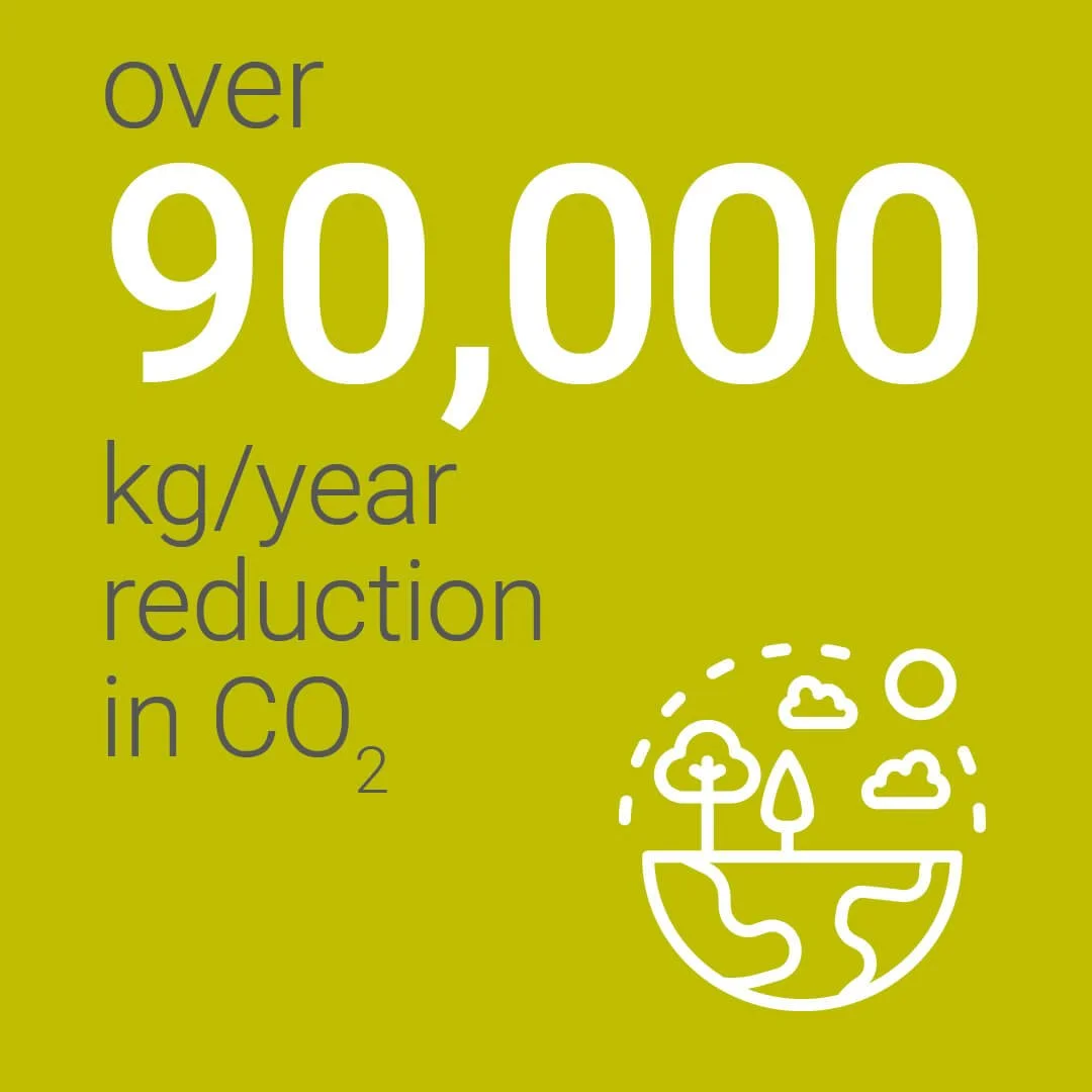 Pathway to NZ26 - green.jpg