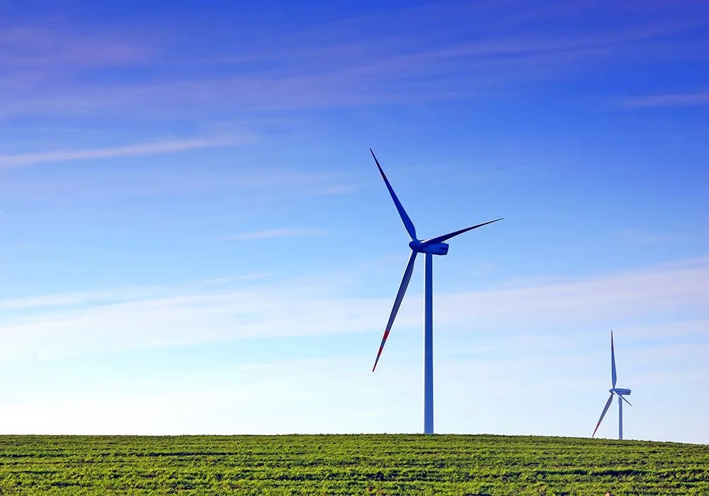 Settle-wind-fan-grass-field.jpg