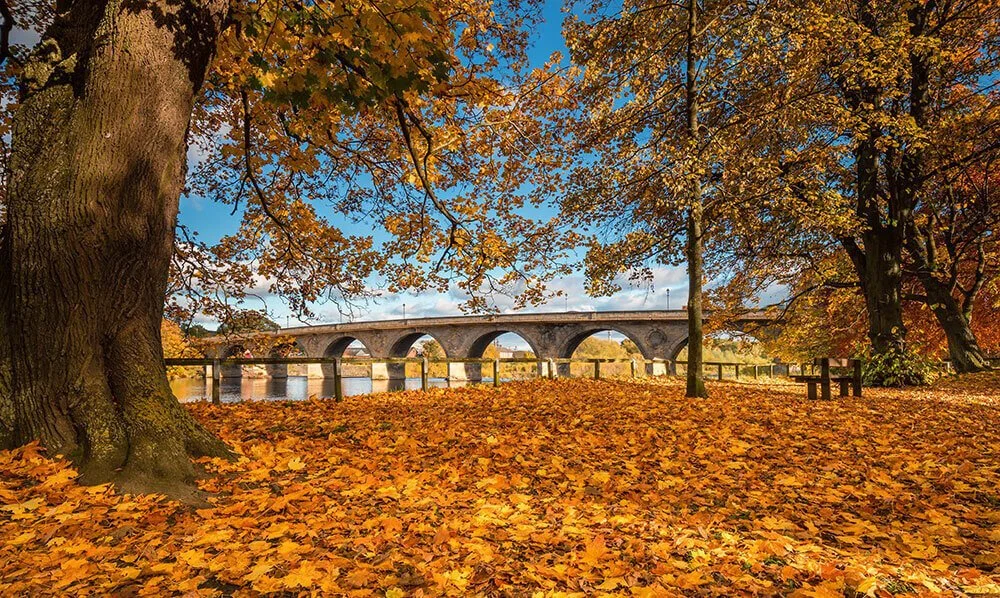 Hexham riverbank