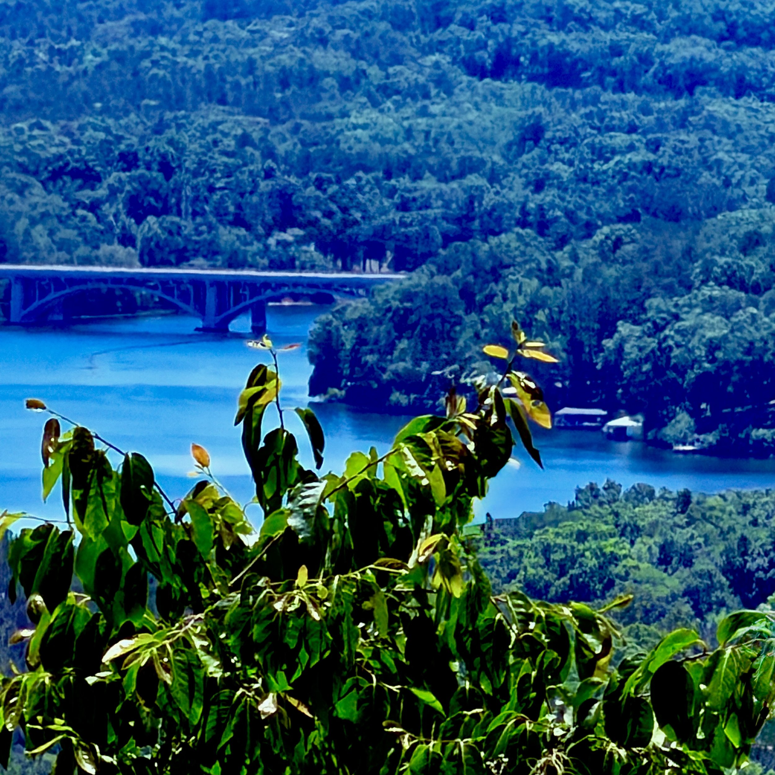 View from Morrow Mountain