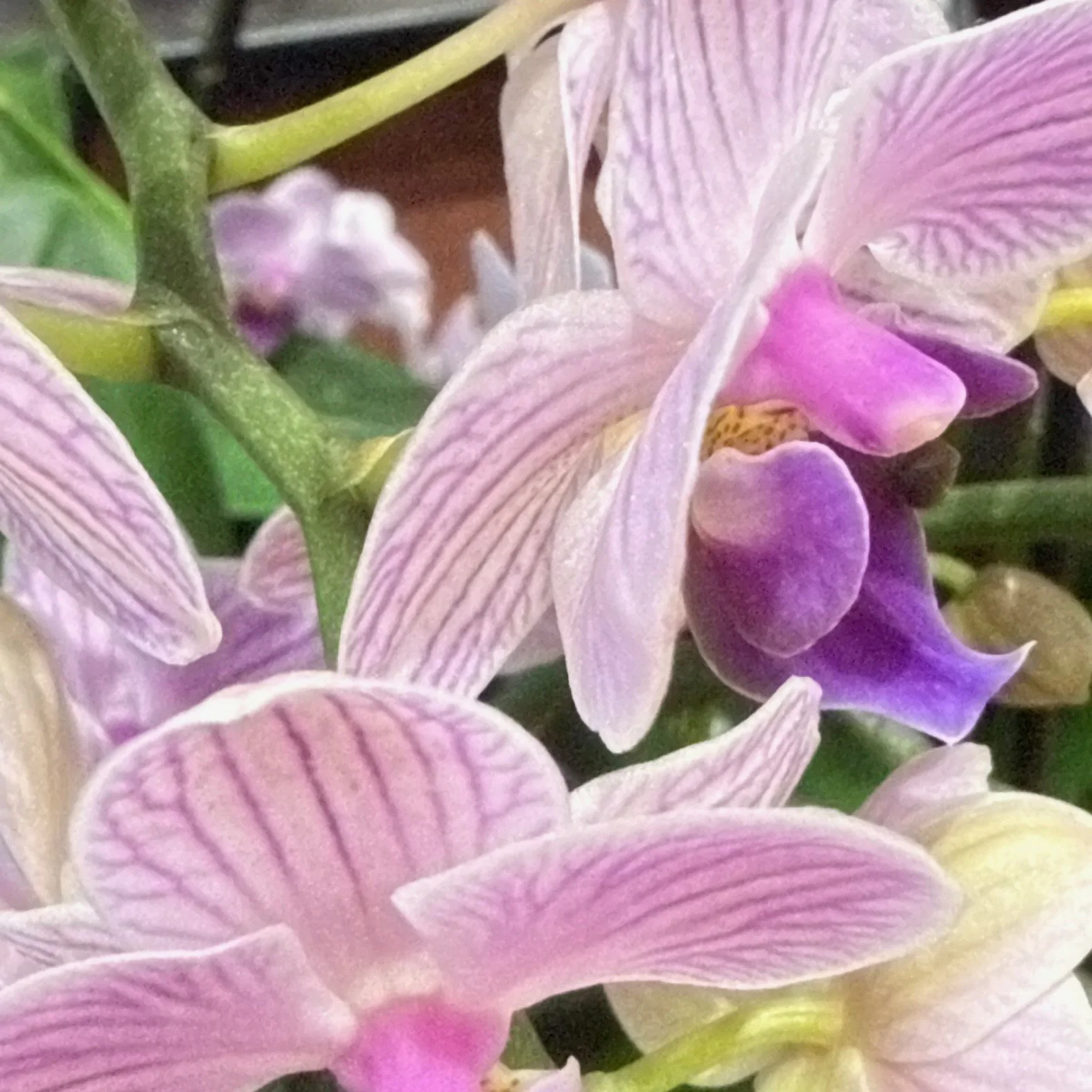 Photo 2.jpg