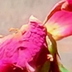 Photo 21.jpg