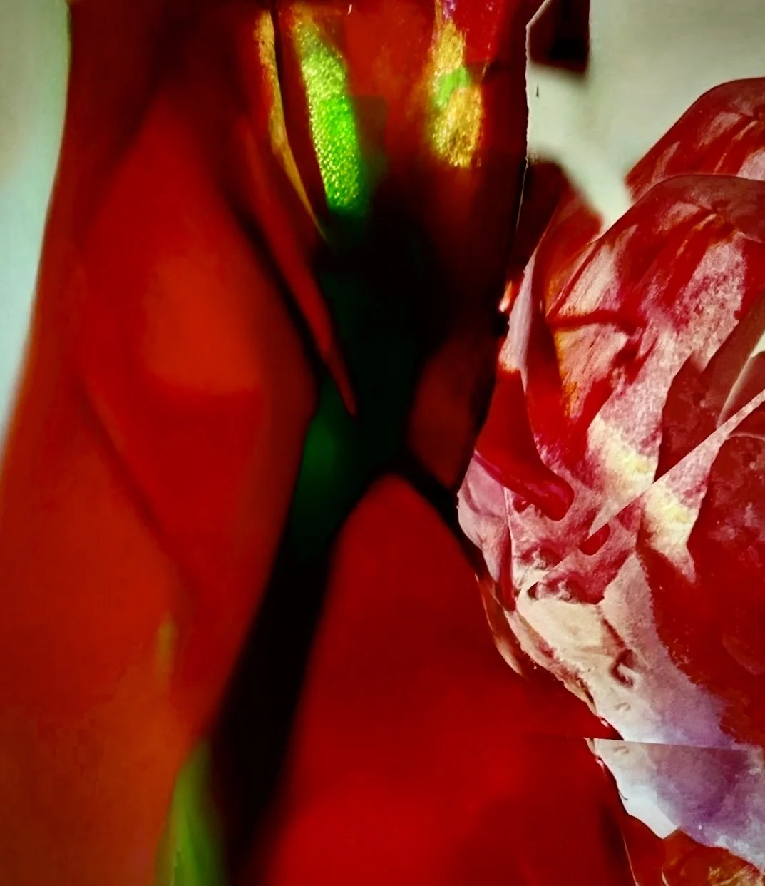 Digital Tulips.jpg