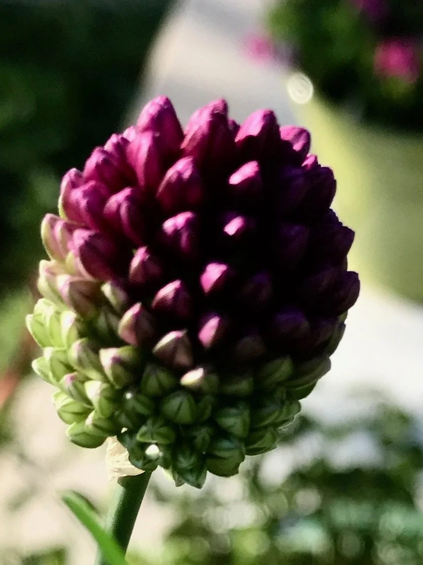 Photo 20.jpg