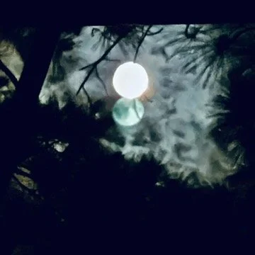The Moon, Boss