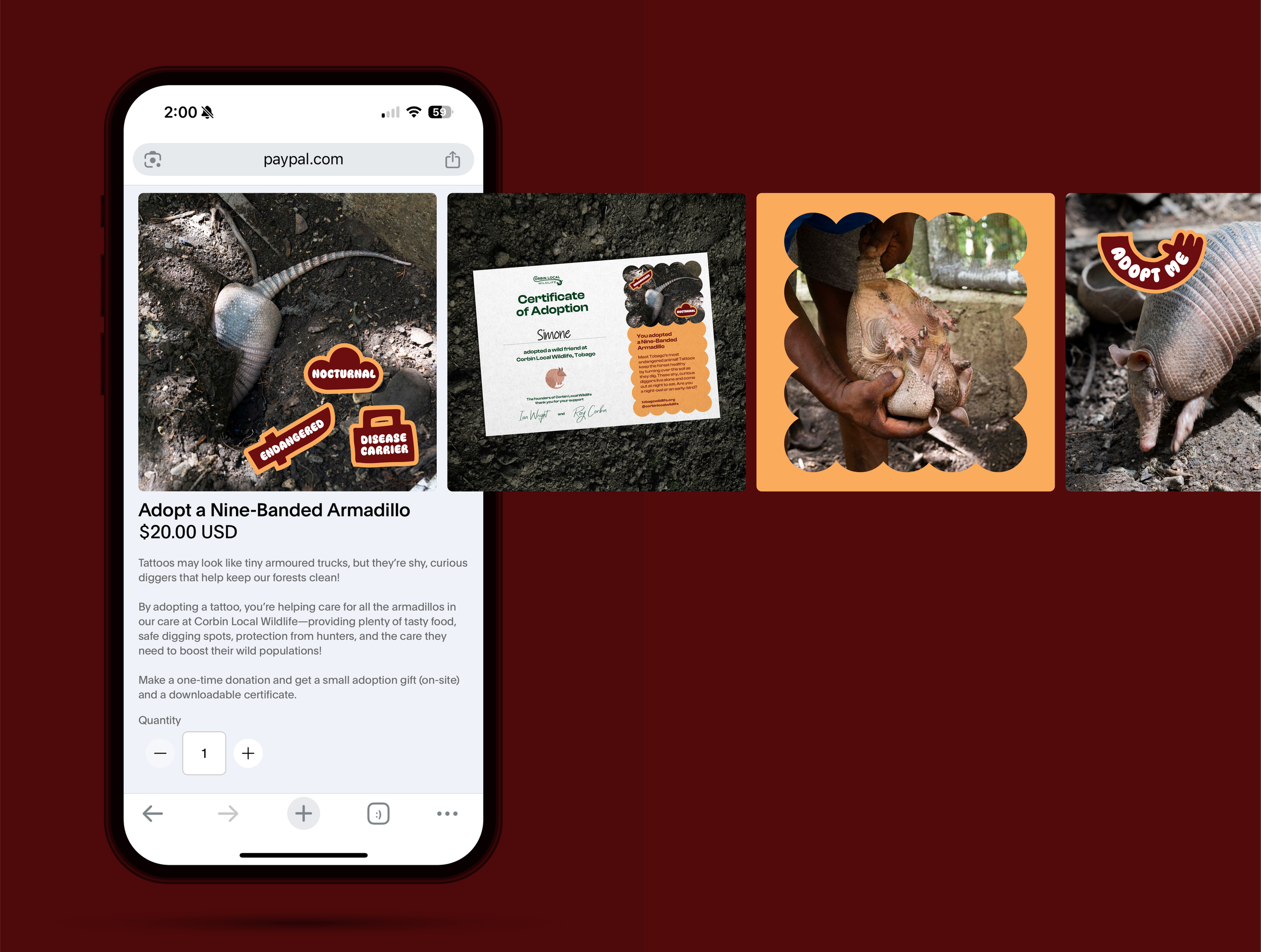 Adopt a wild friend via PayPal
