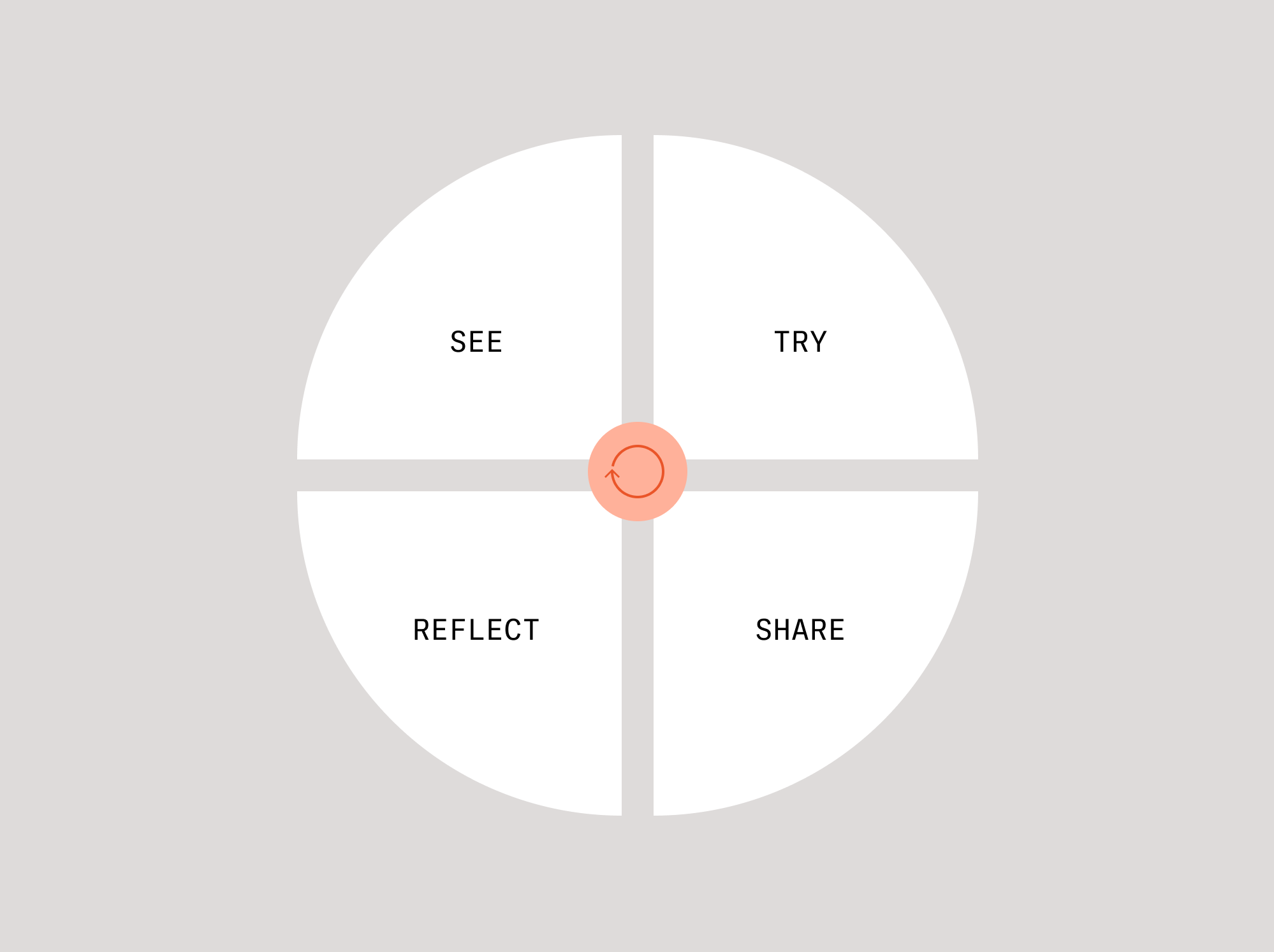 See, Try, Share Reflect learning model