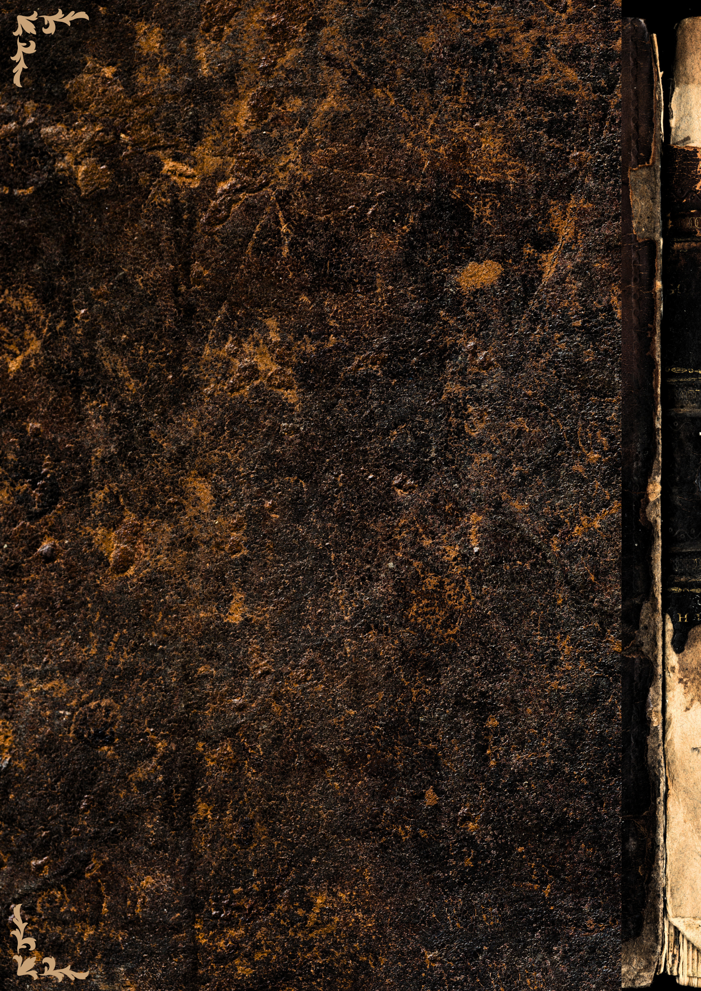 StoriED Welcome Letters (39).png