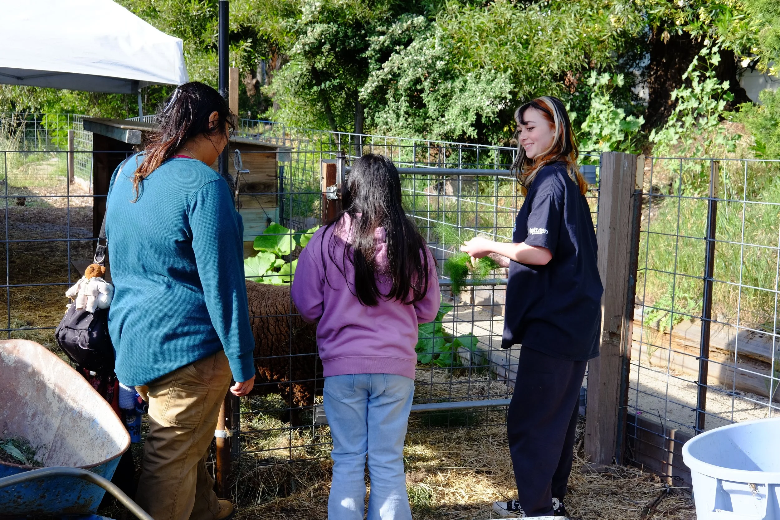 Regenerative Jobs Graduation Ceremony_Potluck_by Cailin Notch_2026_041526 (1).JPG