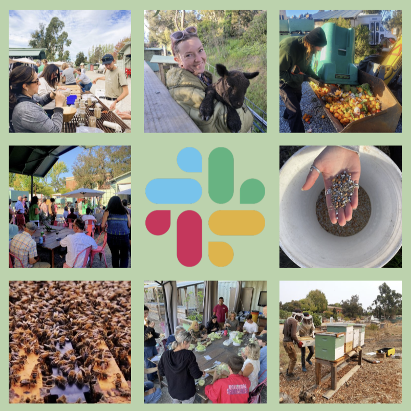REAP’s Slack Community and Resources