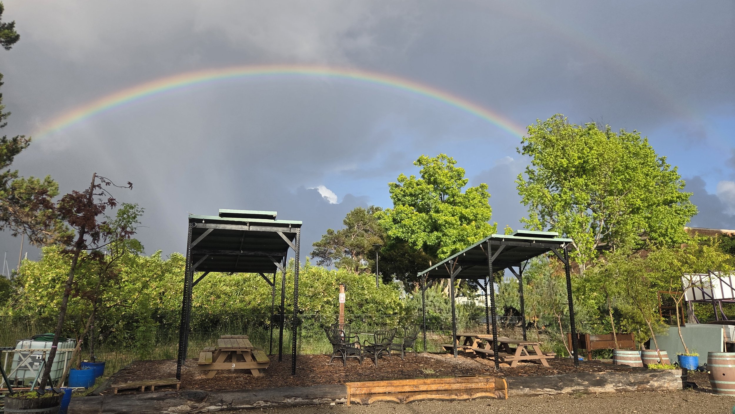 Rainbow 2.jpg