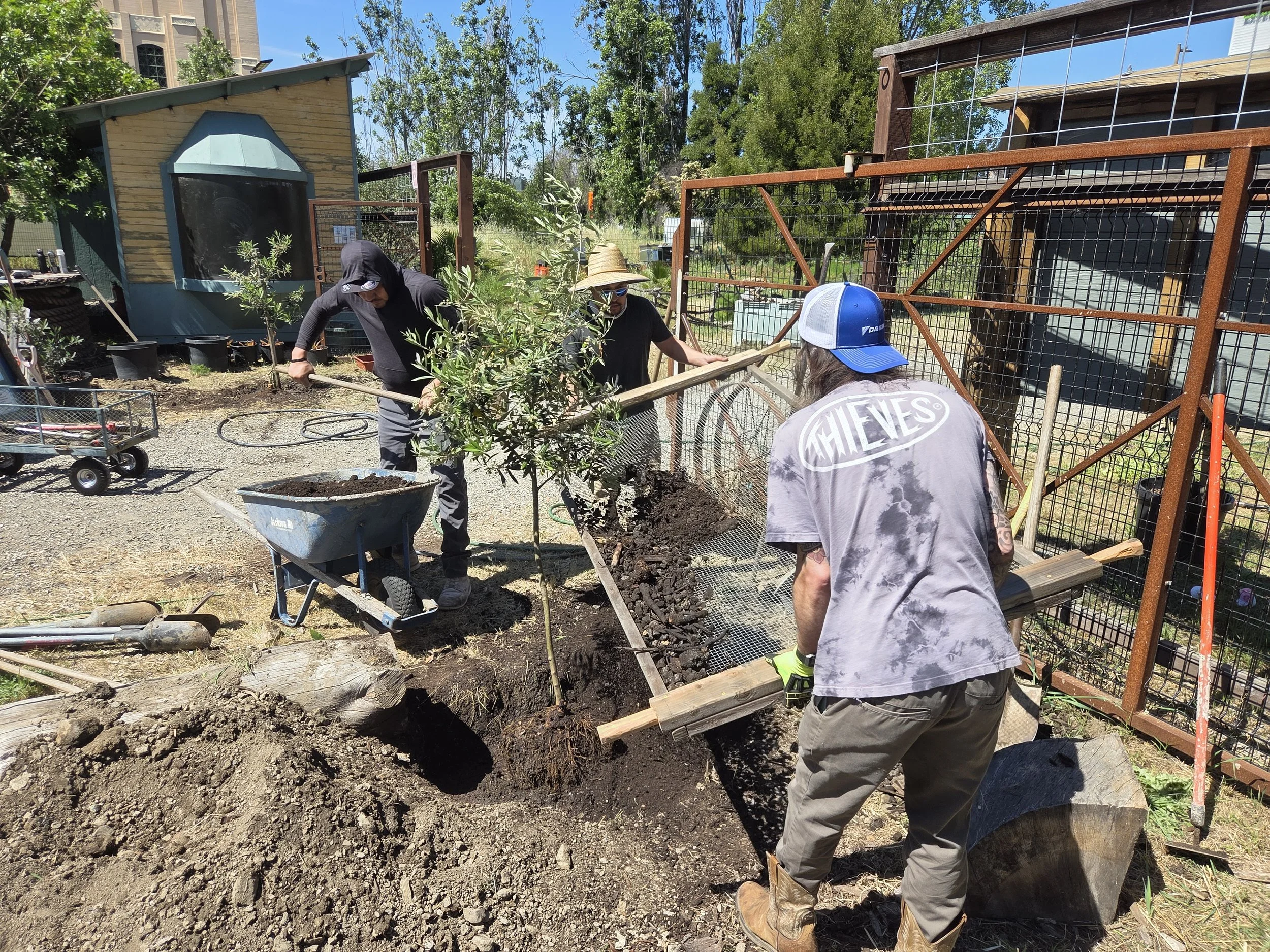 REAP Action Shot_Tree Planting_Screeining Compost.jpg