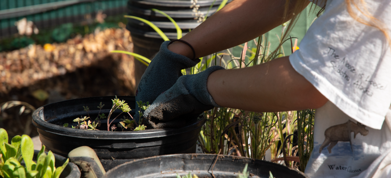 REAP_Person planting.png