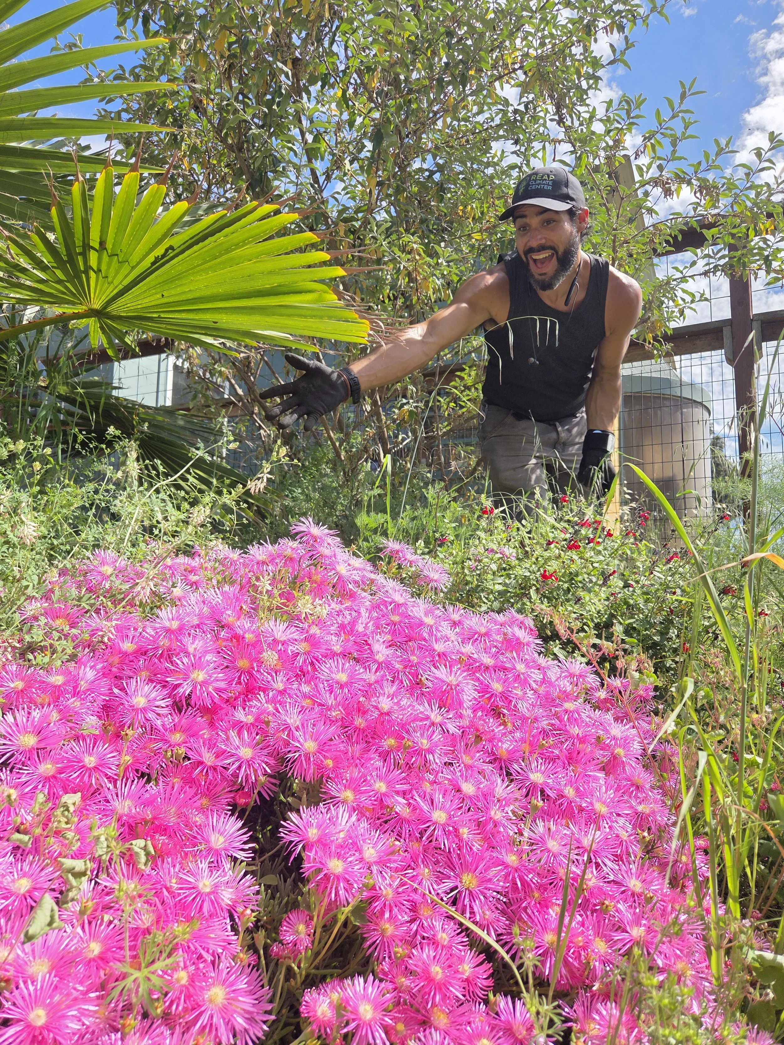flowers_josh.jpg
