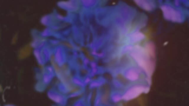 muxedVideoFile-thumbnail.jpg