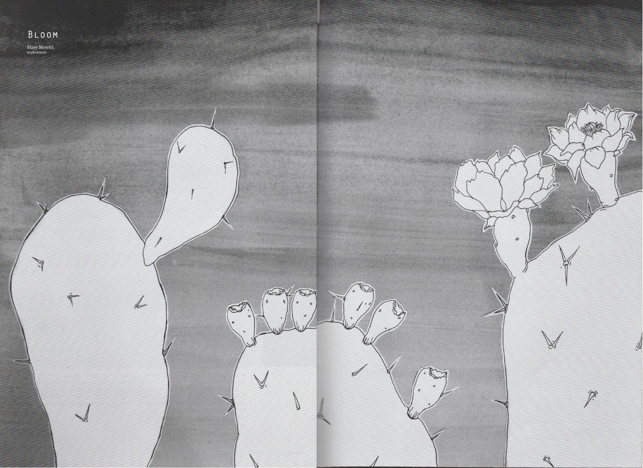 Catharsis spreads (28).jpg