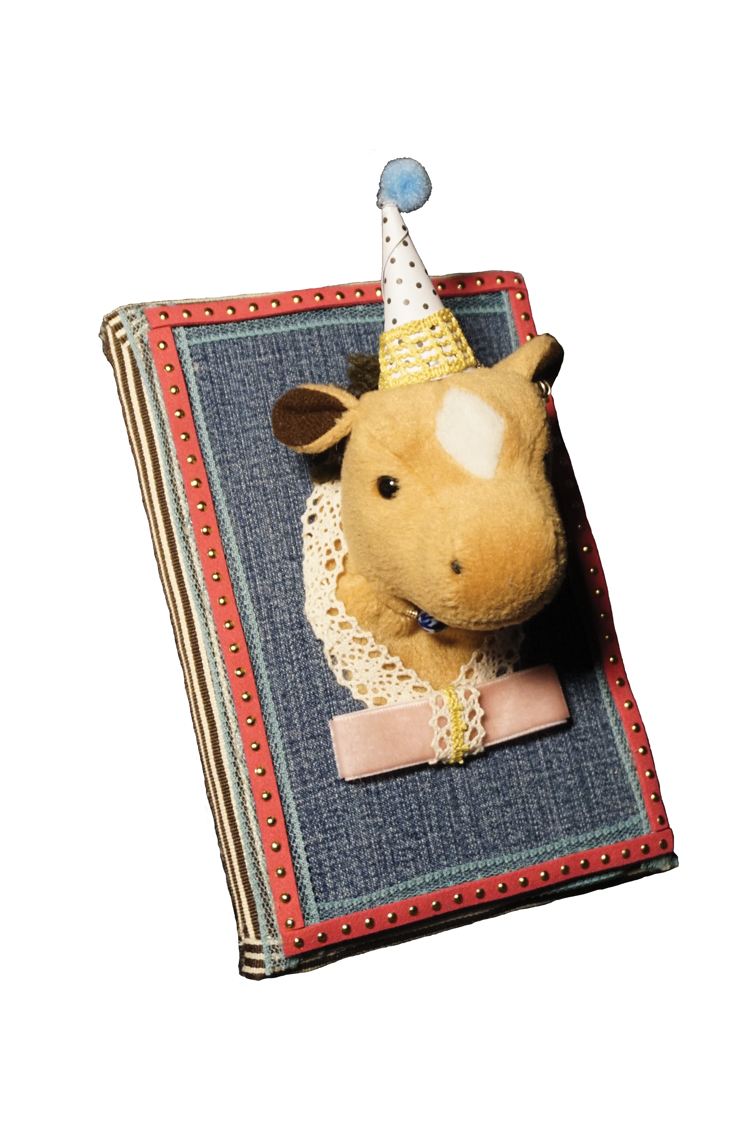 janepony.png